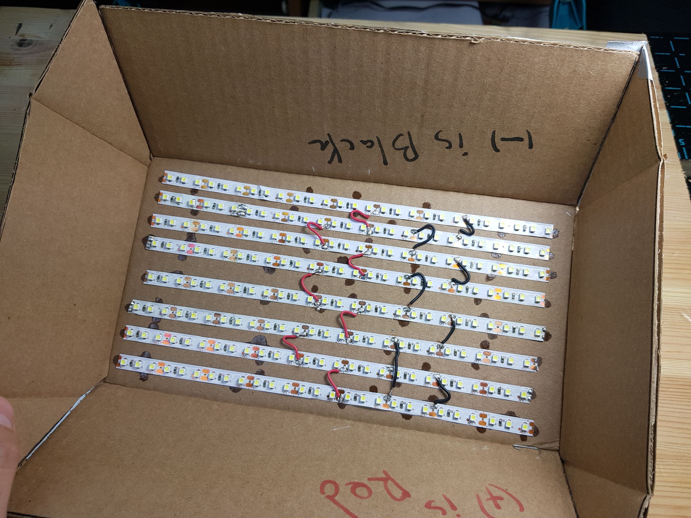 20190711_163419.jpg
