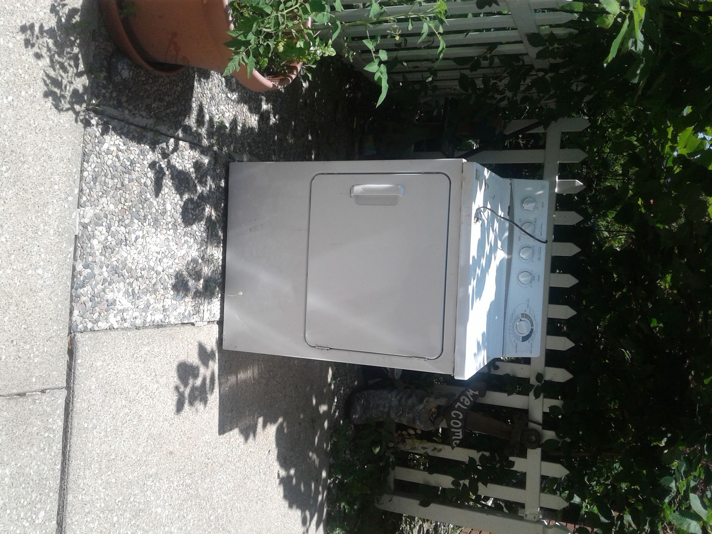 20190713_131811.jpg