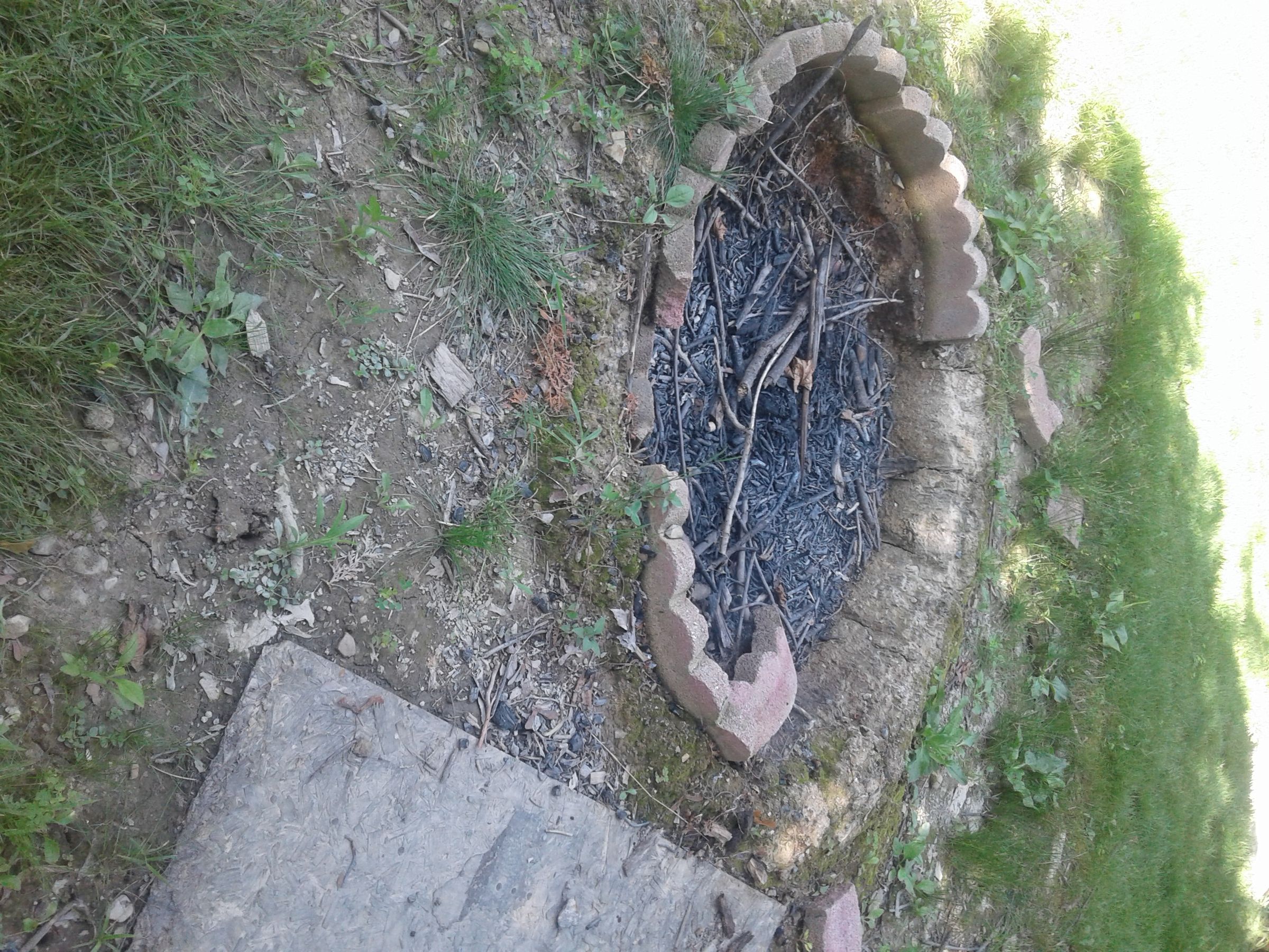 20190713_132908.jpg
