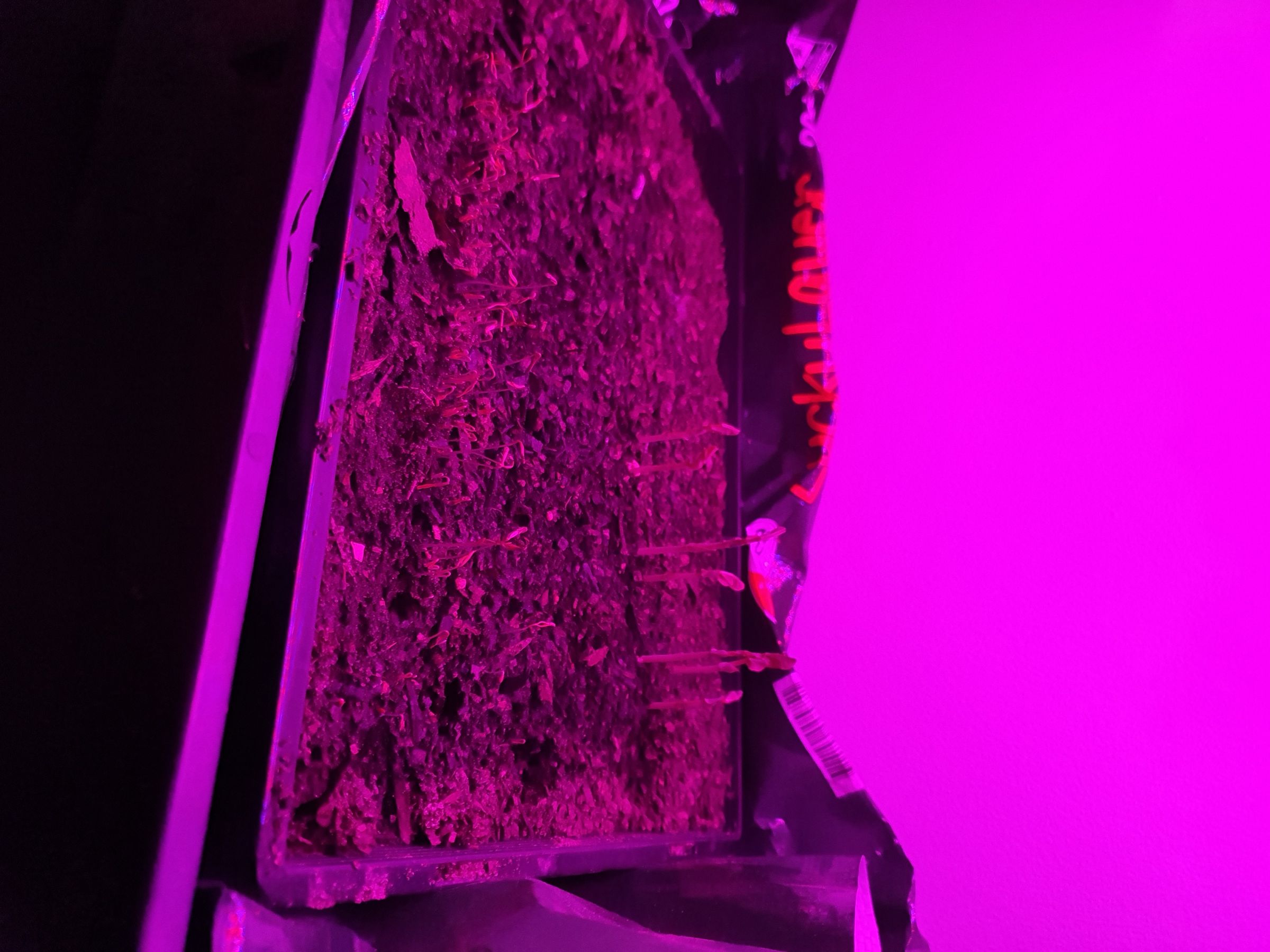 20190720_090138.jpg