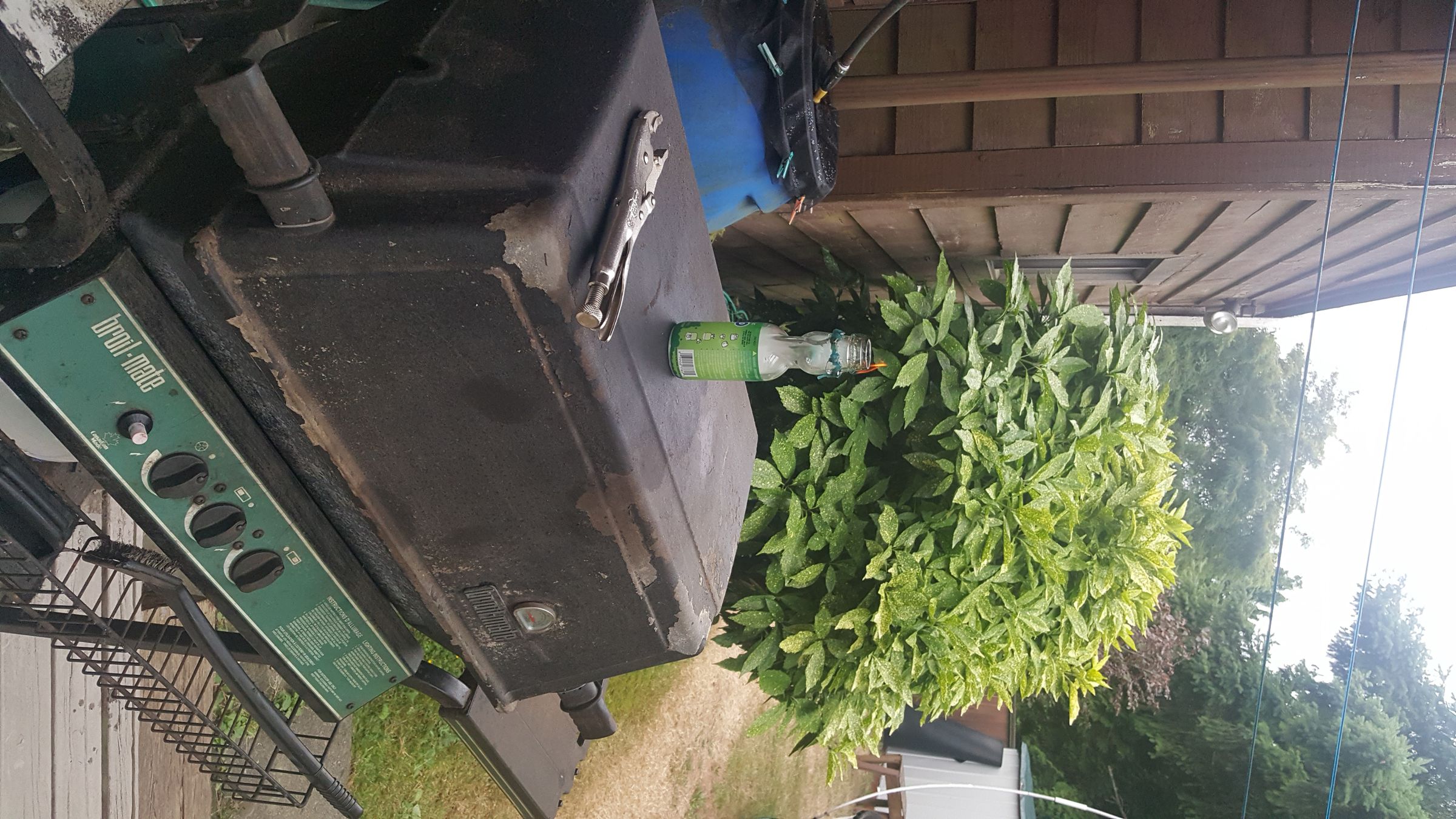 20190811_174734.jpg