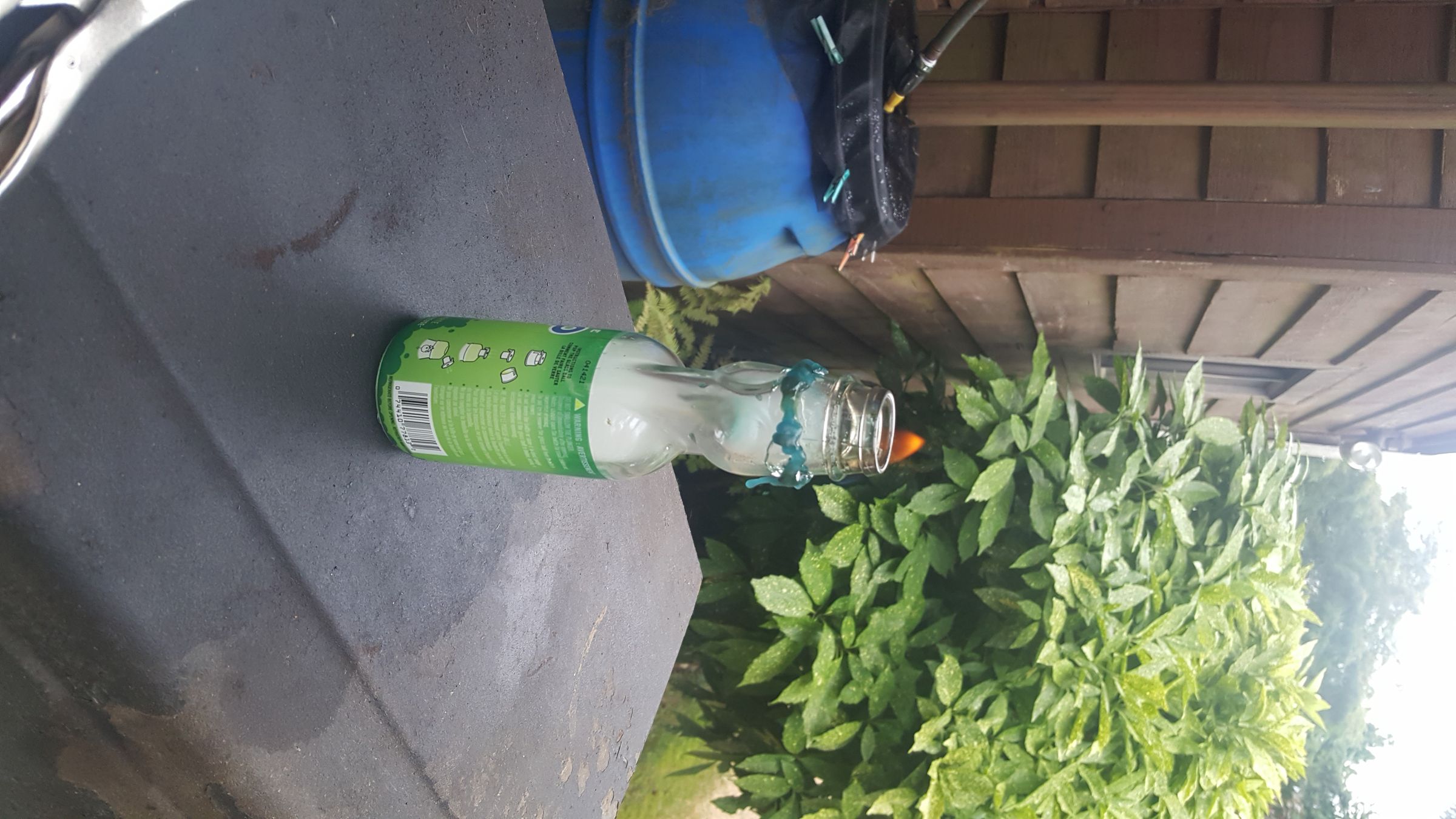 20190811_174742.jpg