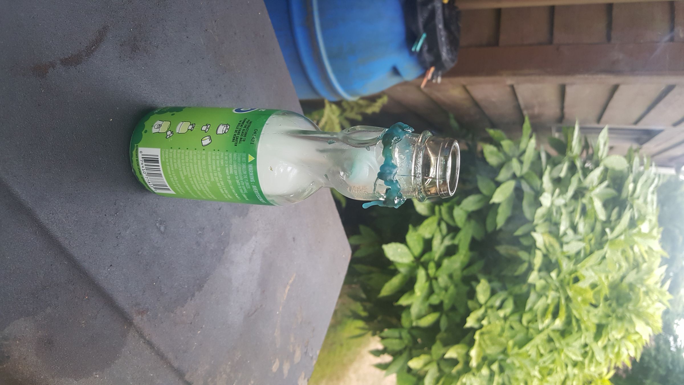 20190811_174753.jpg