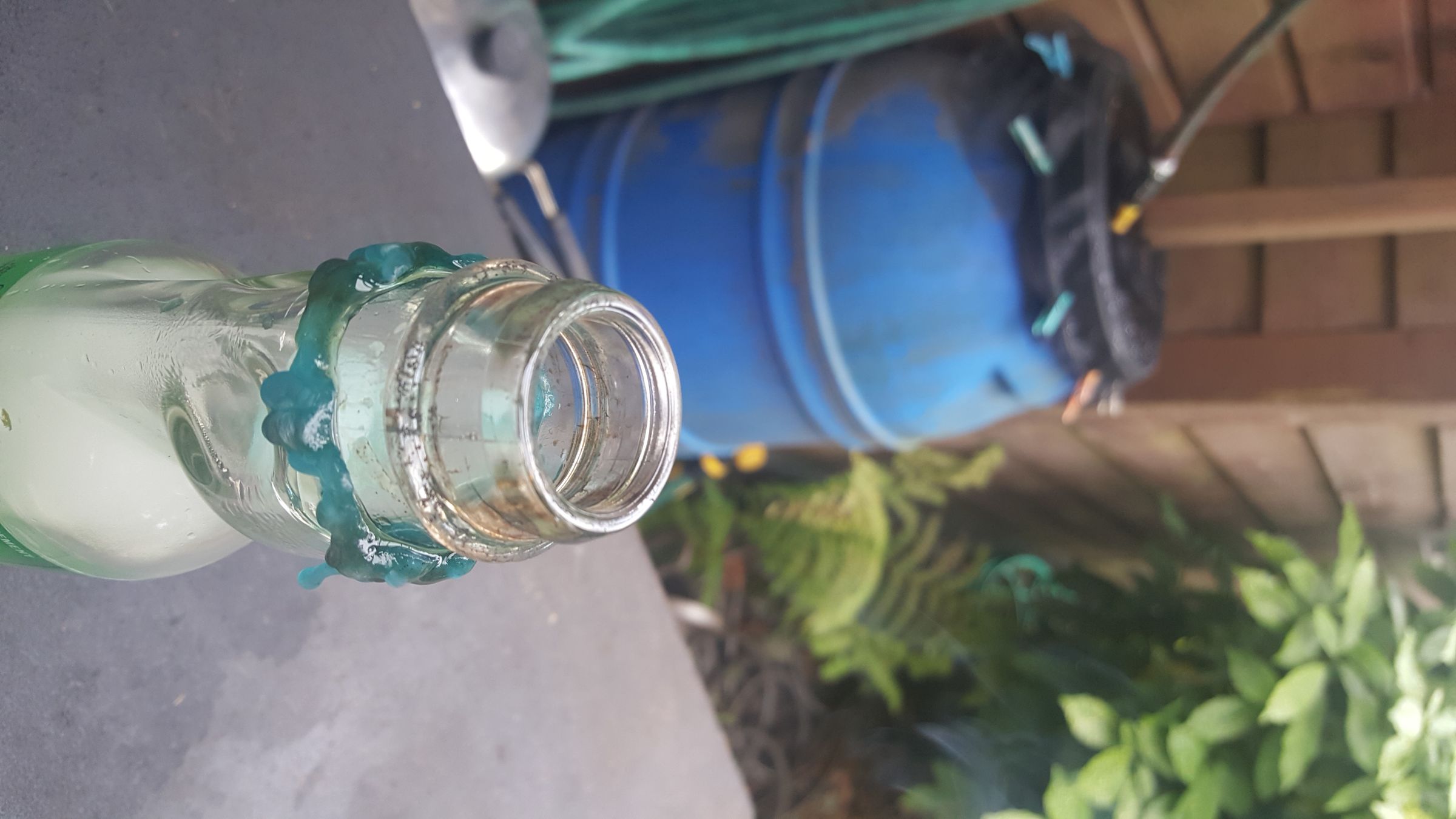 20190811_174820.jpg