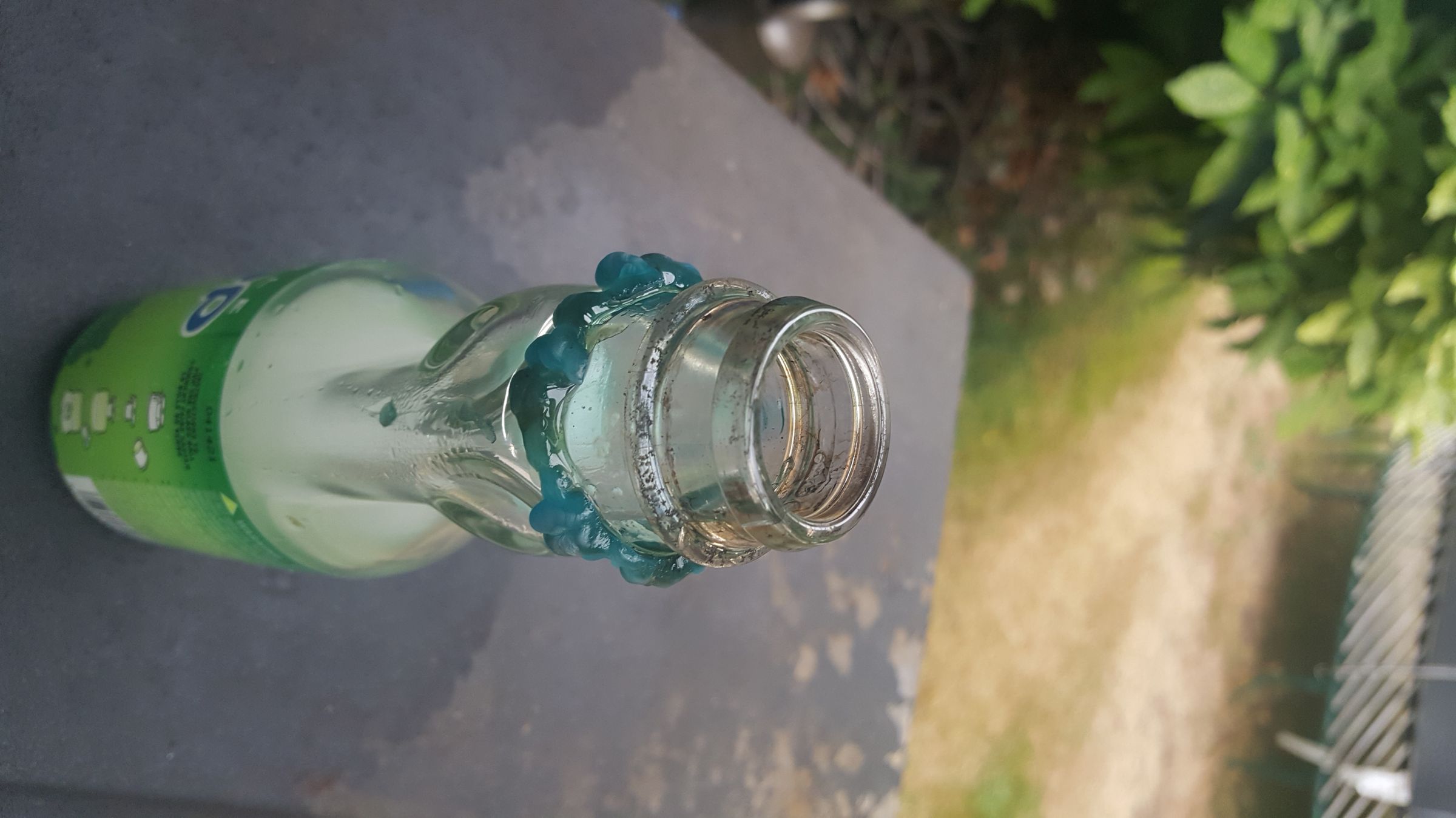 20190811_174824.jpg