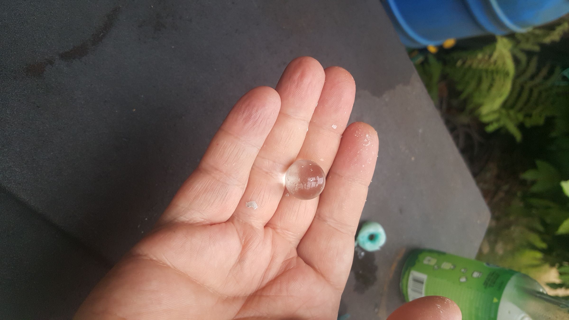 20190811_175025.jpg
