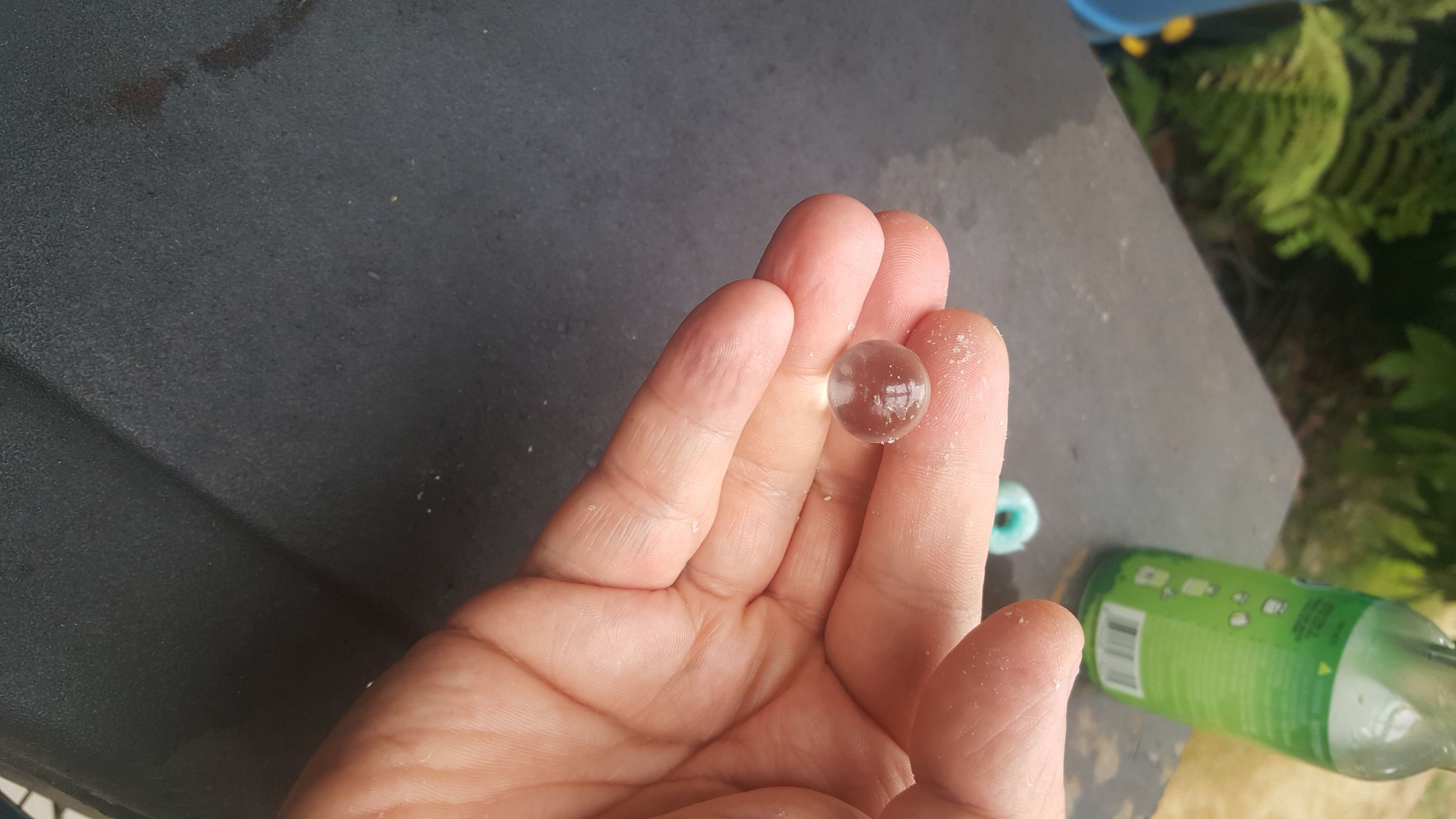 20190811_175035.jpg
