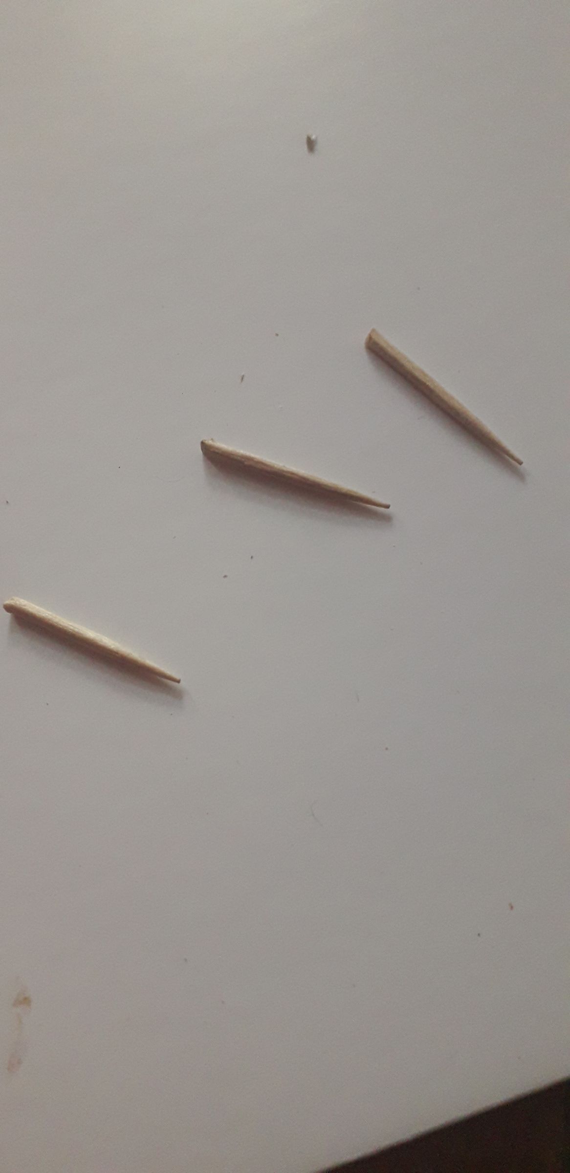 20200720_205115.jpg