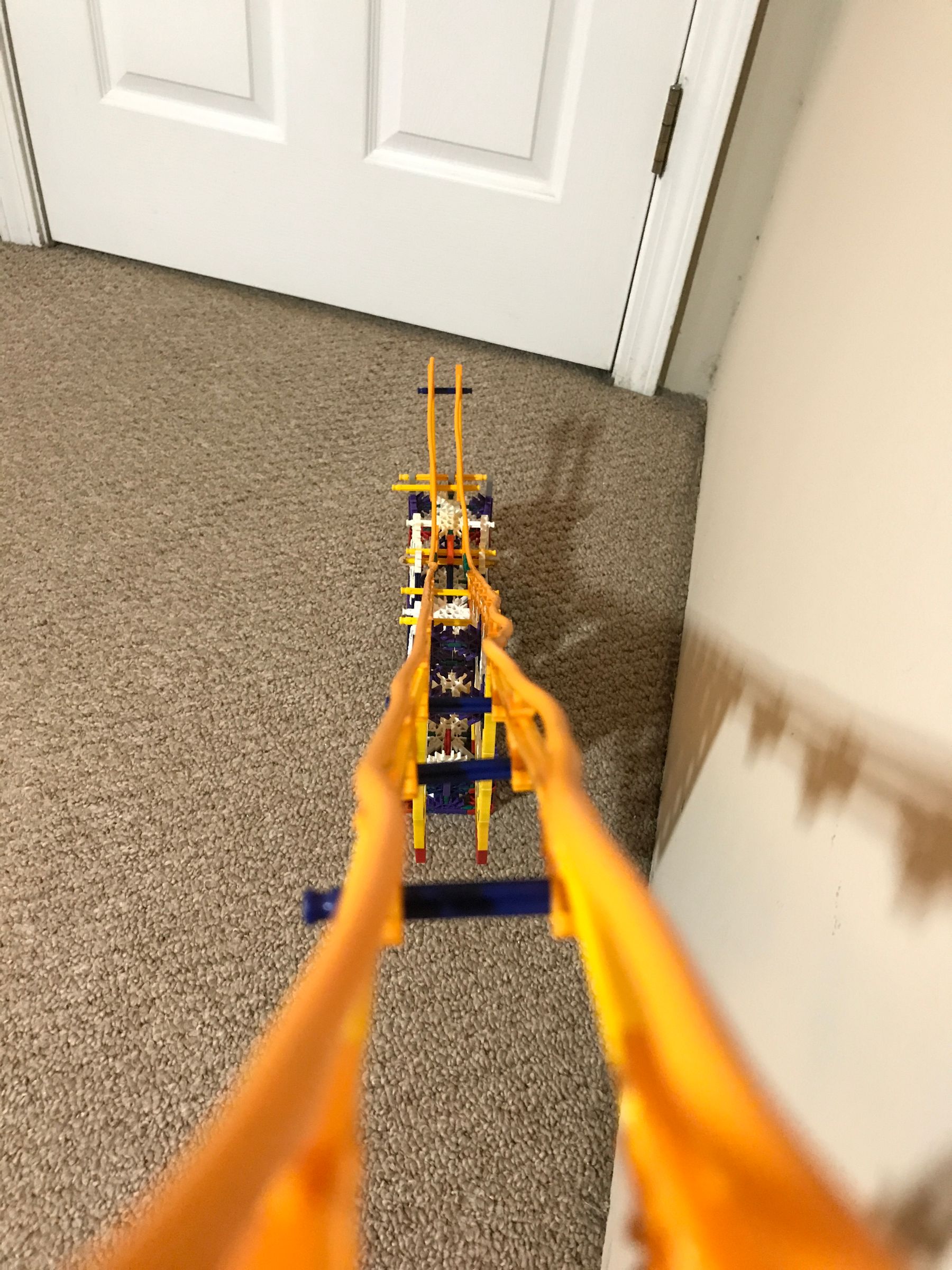 20200815_230206314_iOS.jpg