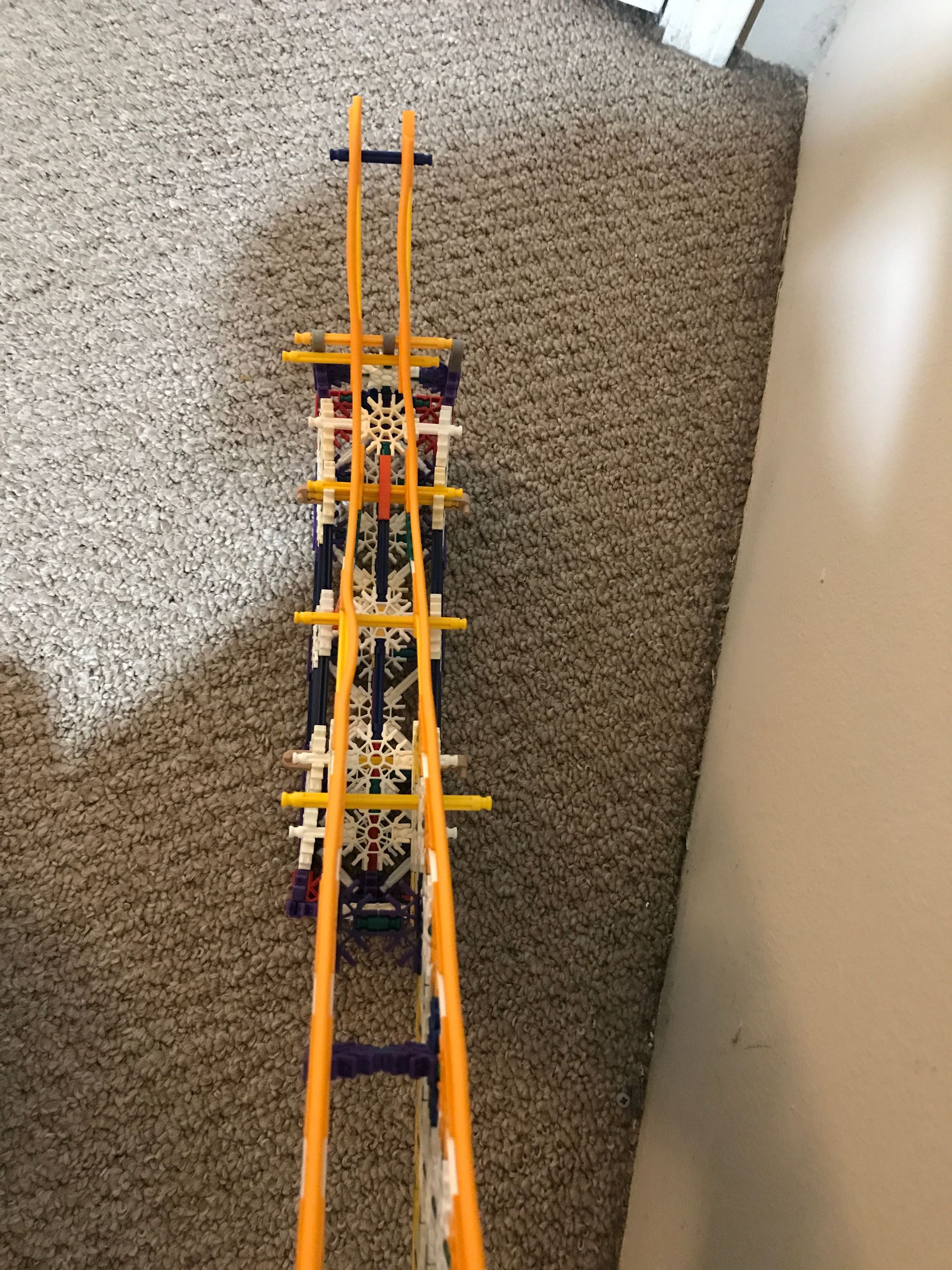 20200815_230227781_iOS.jpg