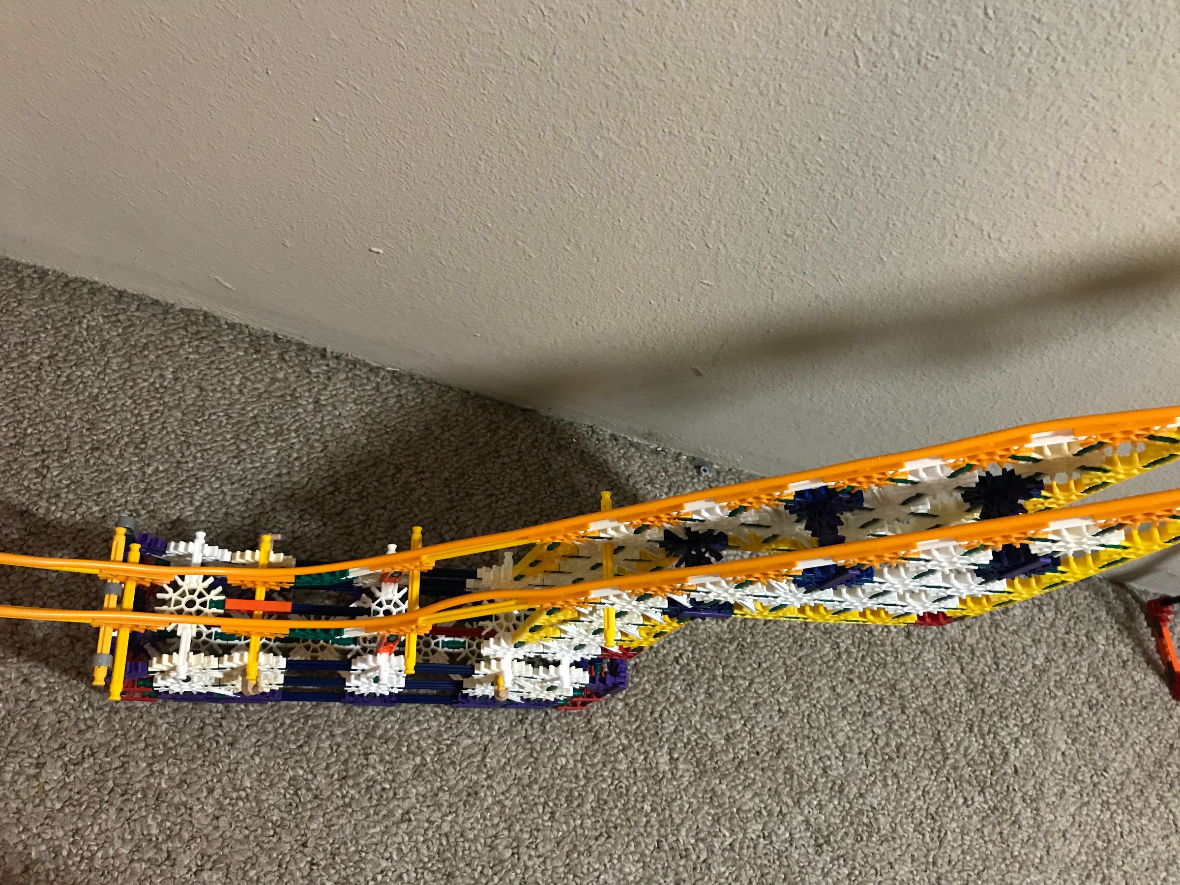 20200815_230248872_iOS.jpg