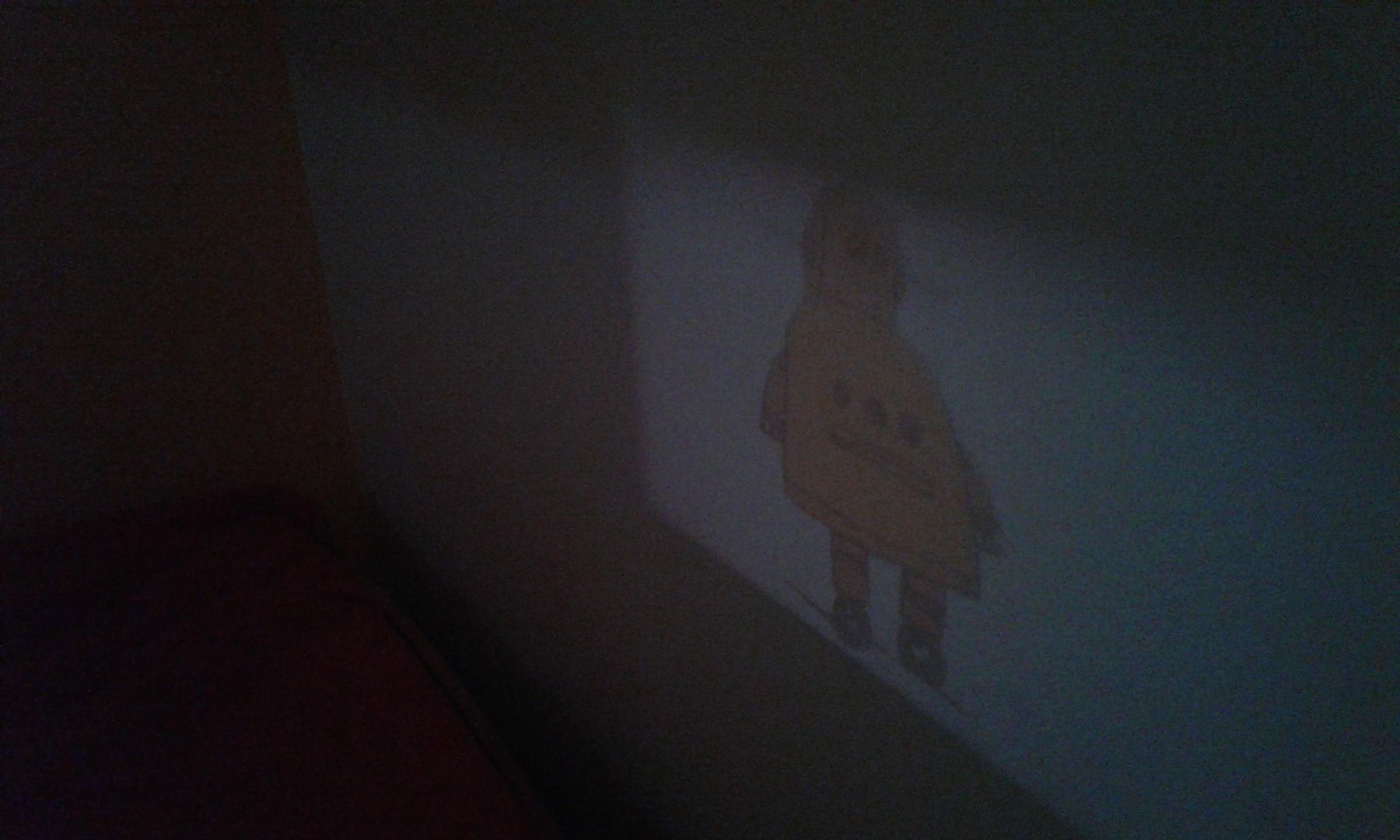 20201024_104145.jpg