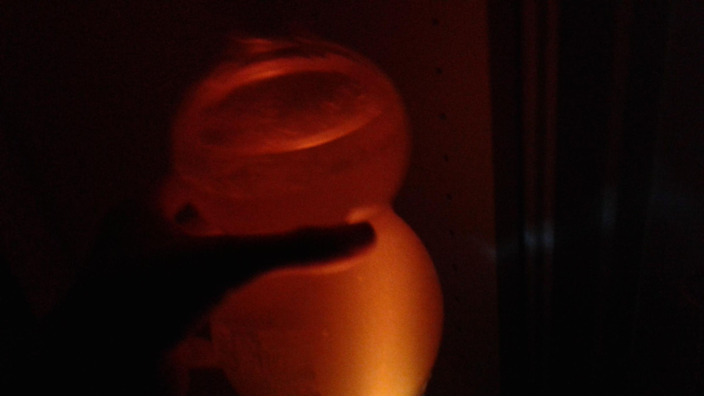 20201112_151008.jpg