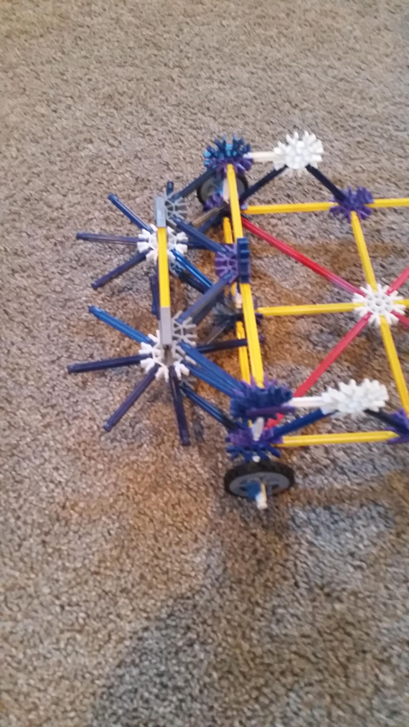 20210105_124403.jpg