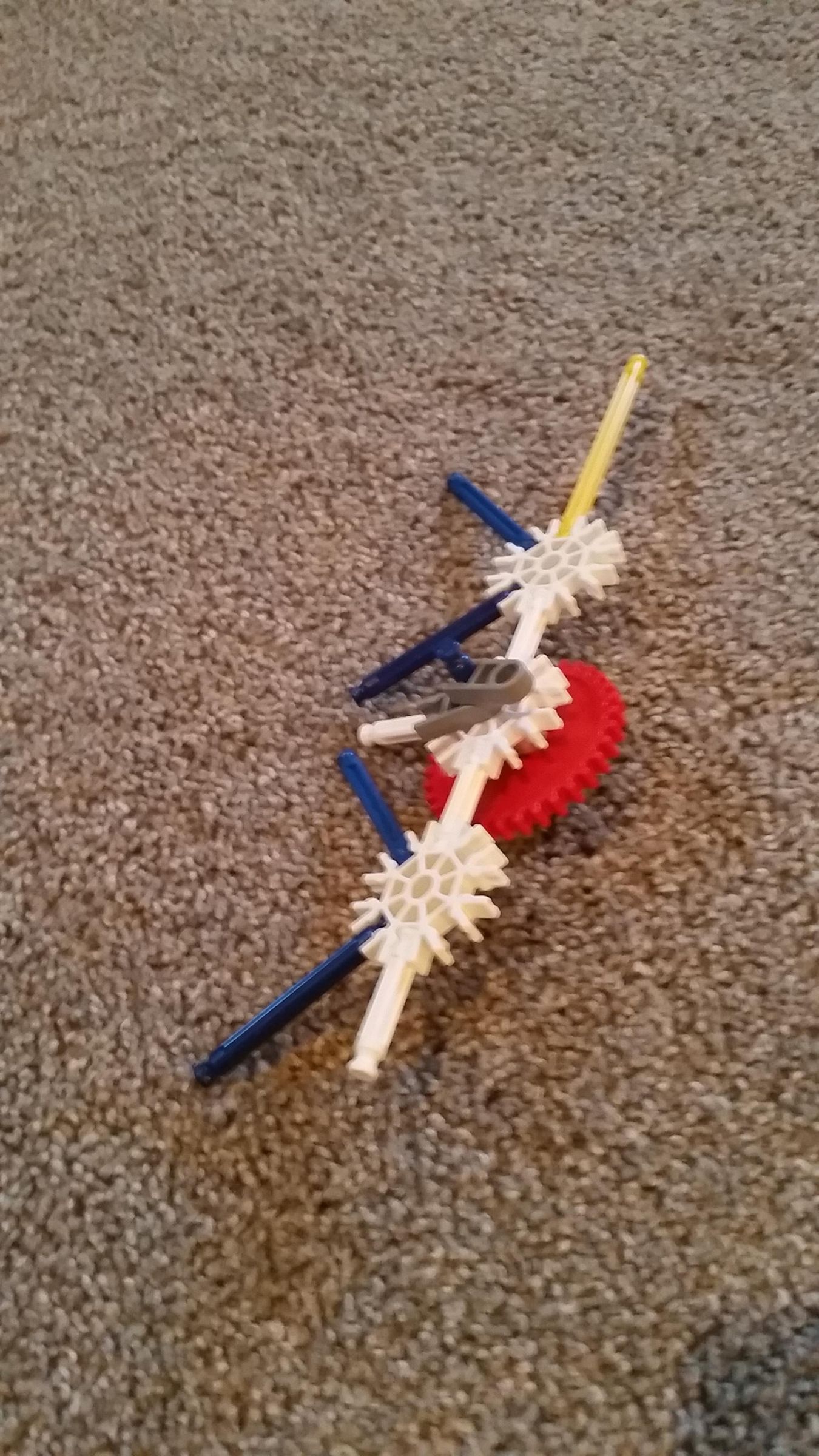 20210105_124908.jpg