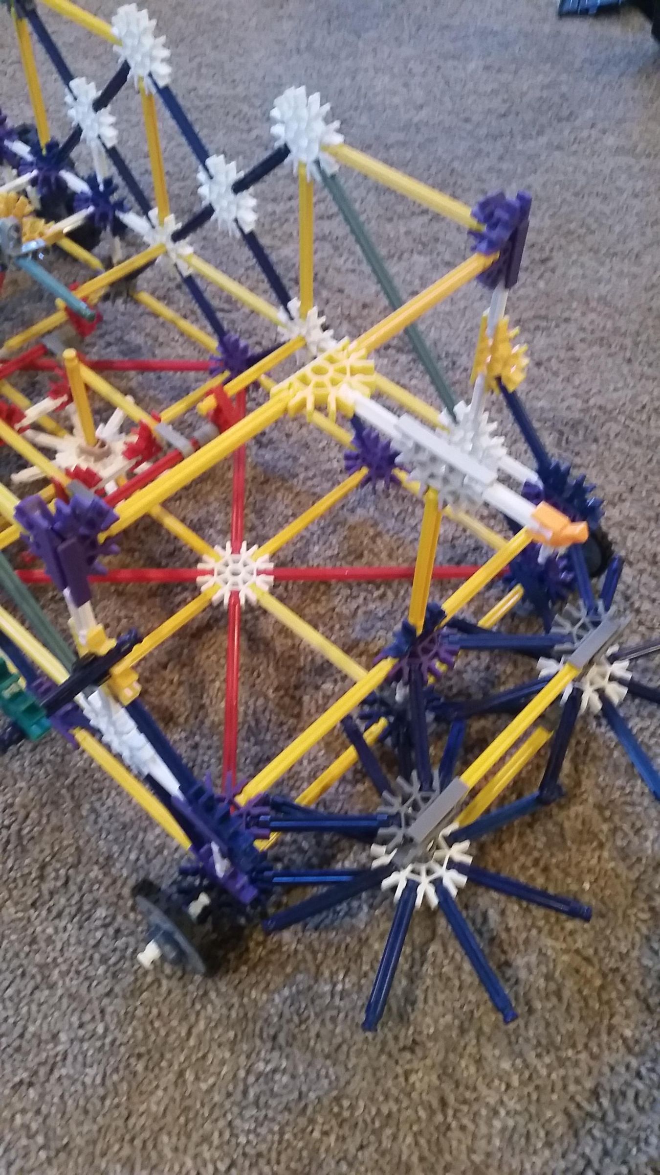 20210105_130217.jpg