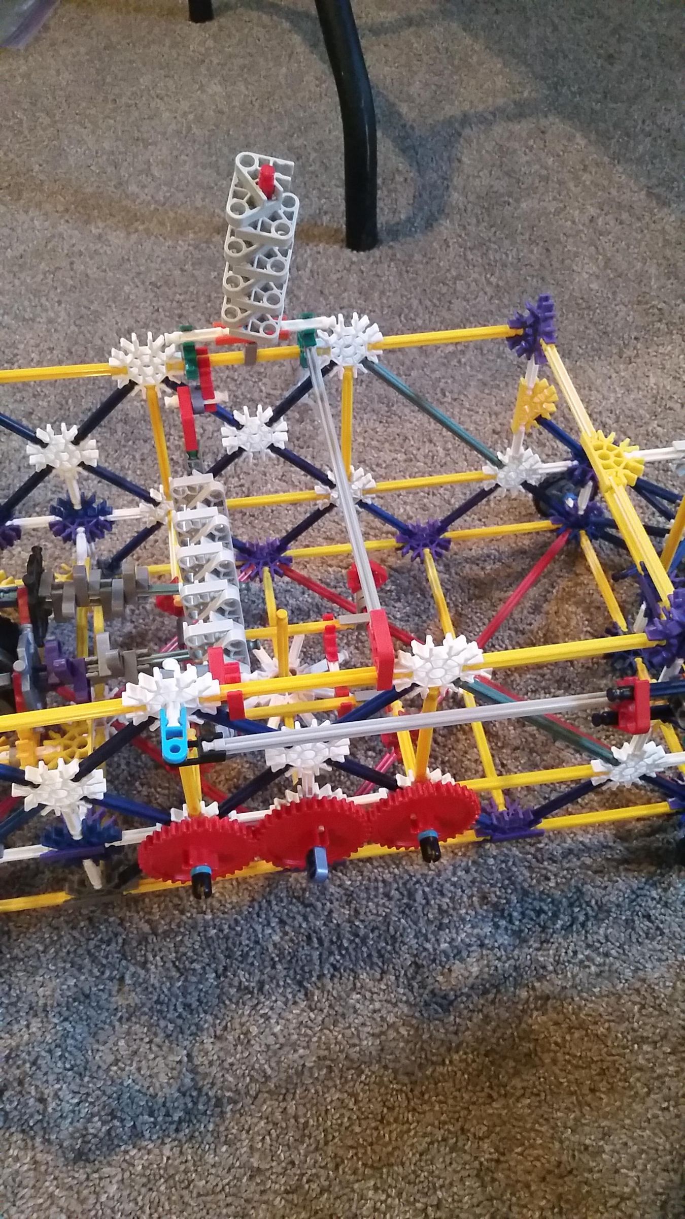 20210105_134340.jpg