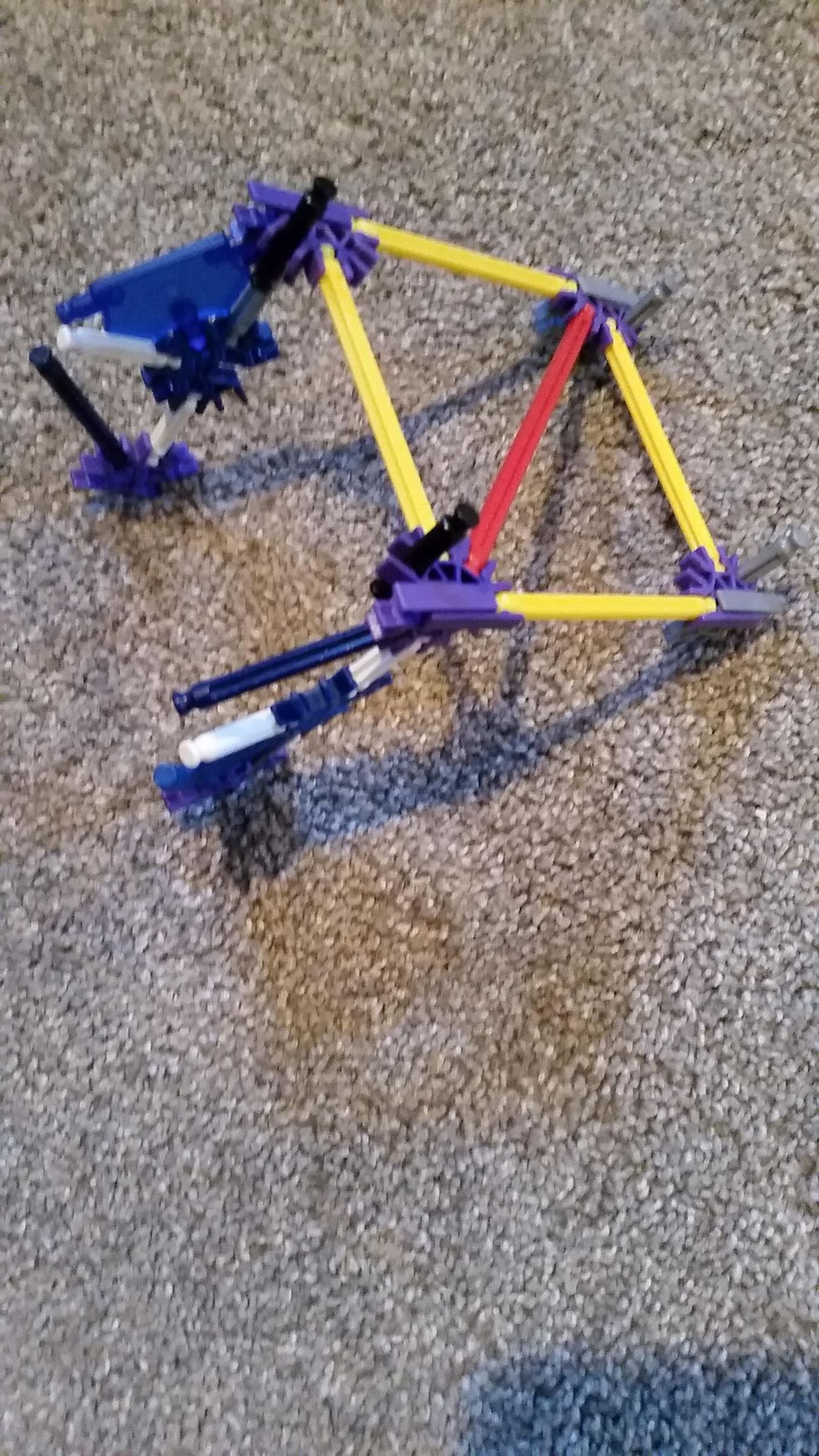 20210128_124459.jpg