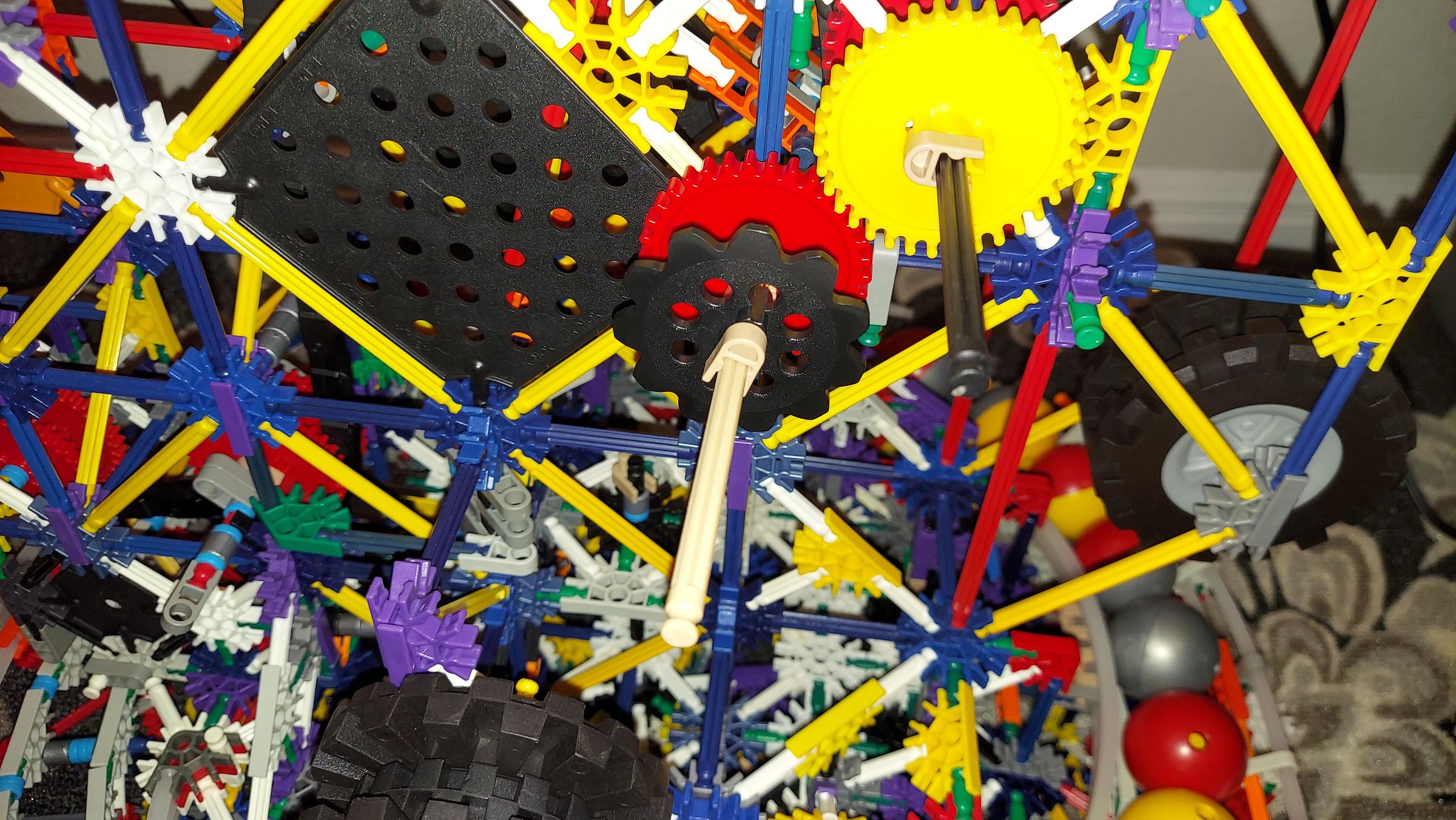20210521_015538.jpg