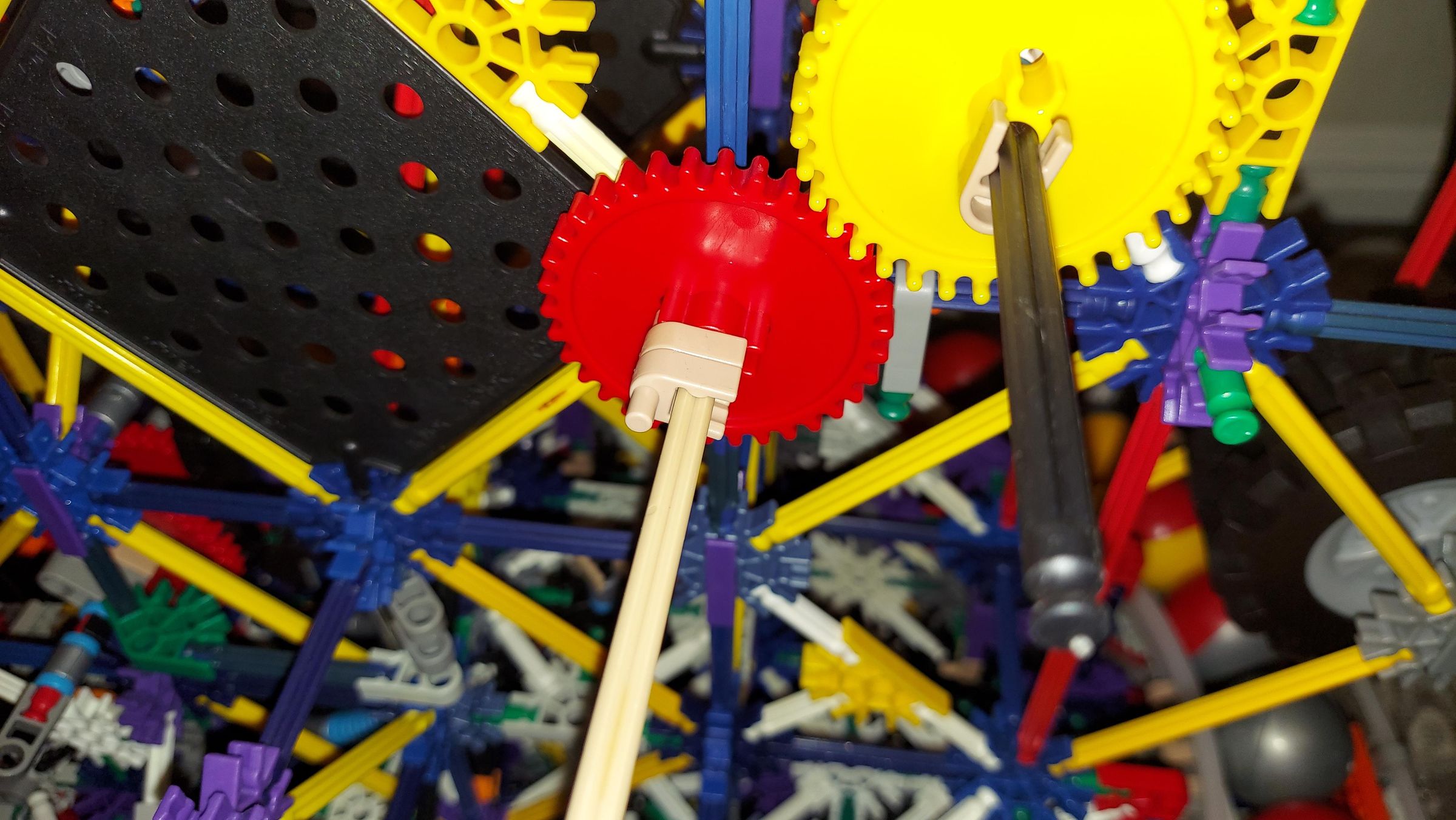 20210521_015707.jpg