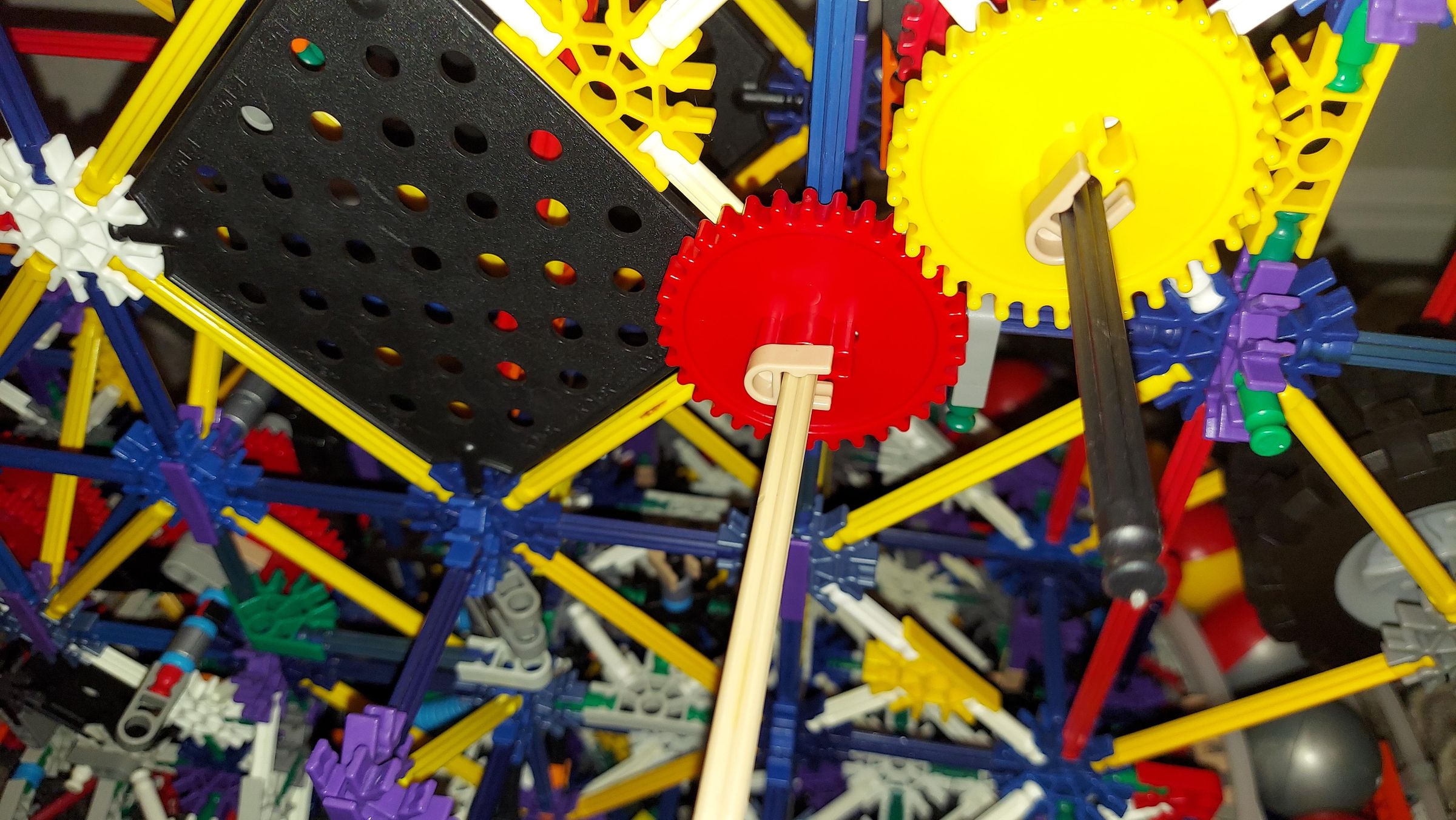20210521_015712.jpg