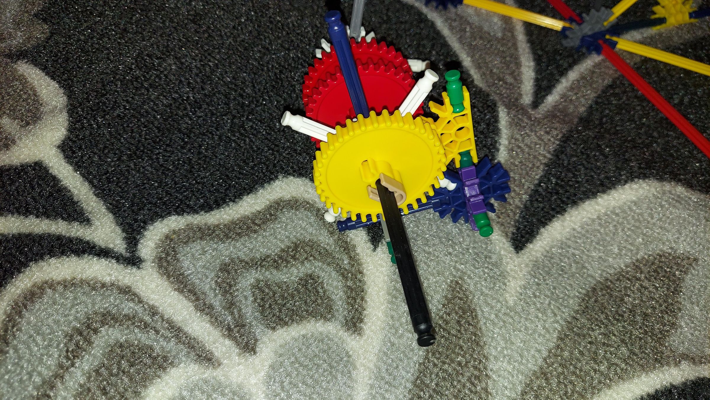 20210521_025145.jpg