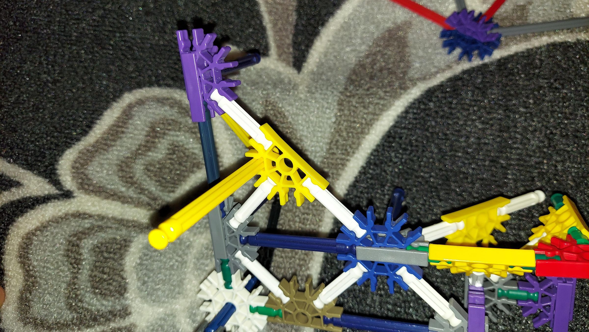 20210521_030223.jpg