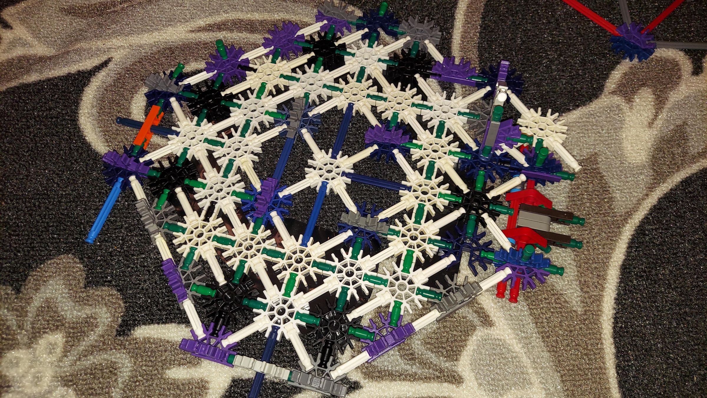 20210521_034141.jpg