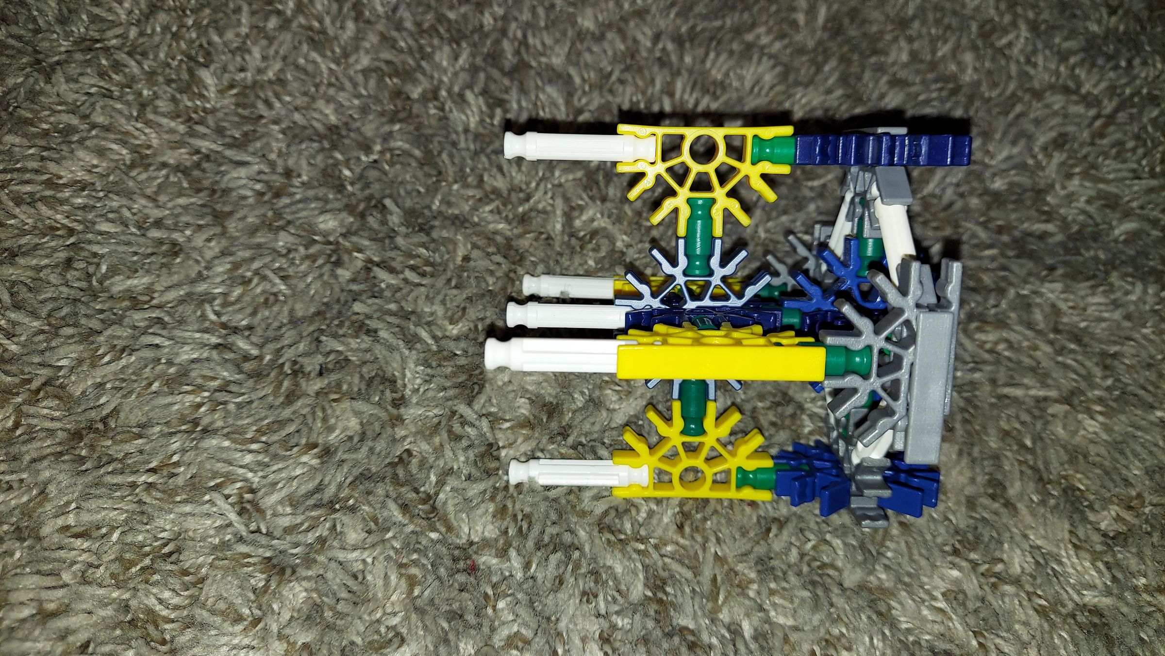 20210621_004858.jpg