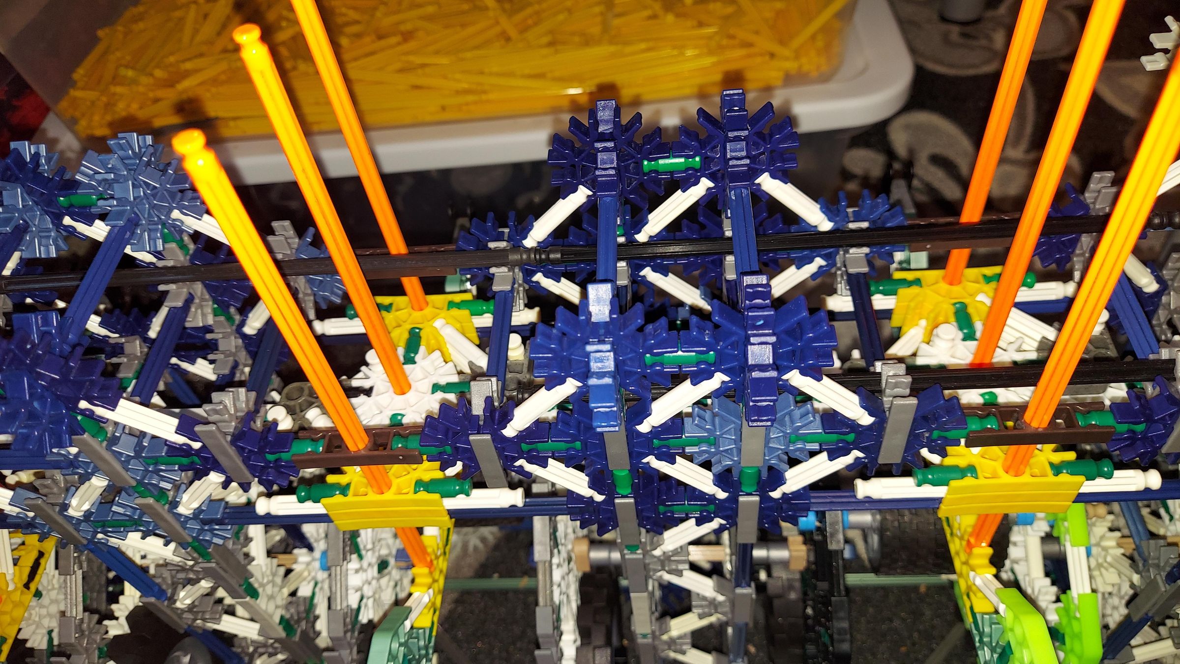 20210621_105321.jpg