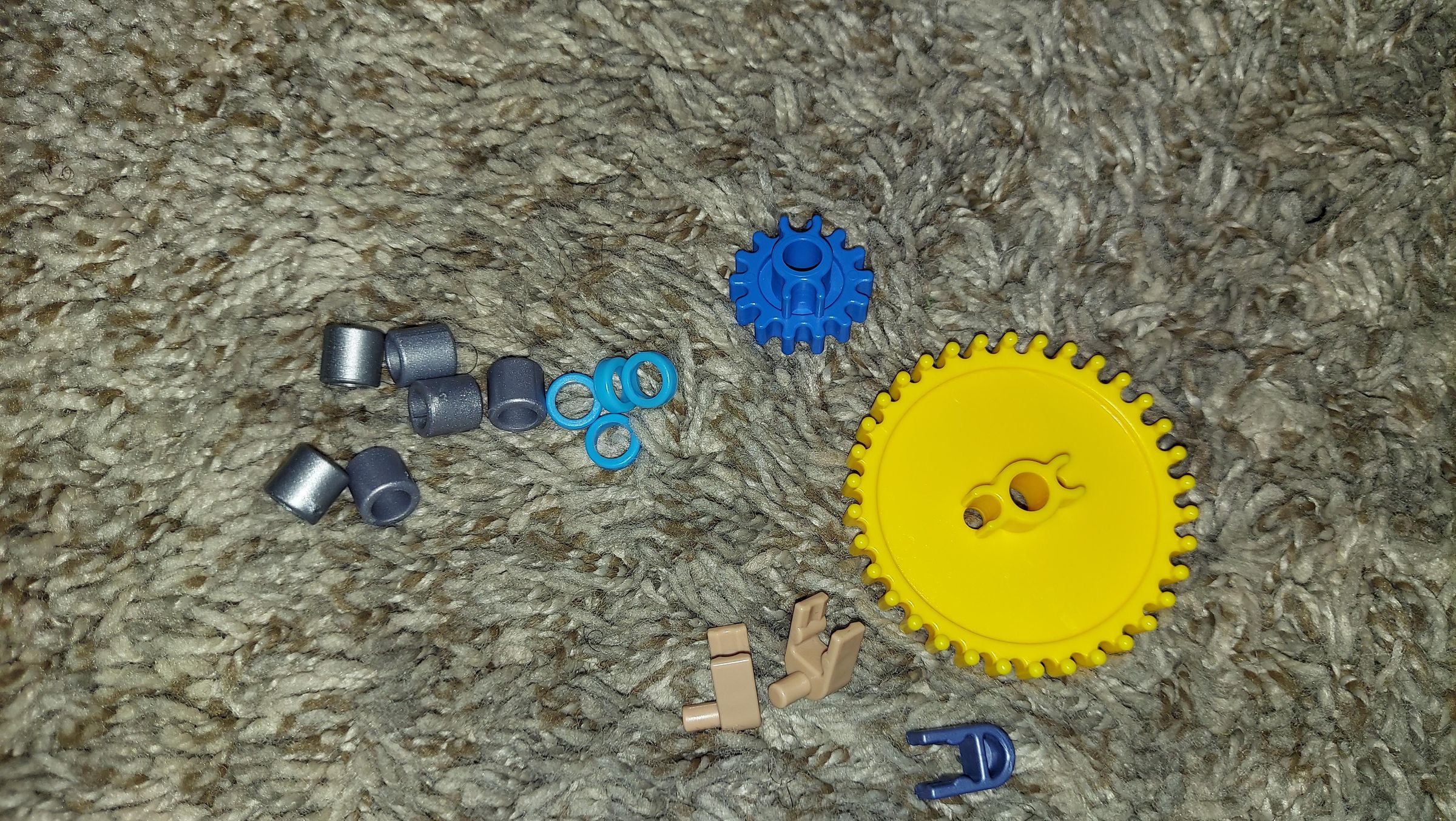 20210621_140443.jpg