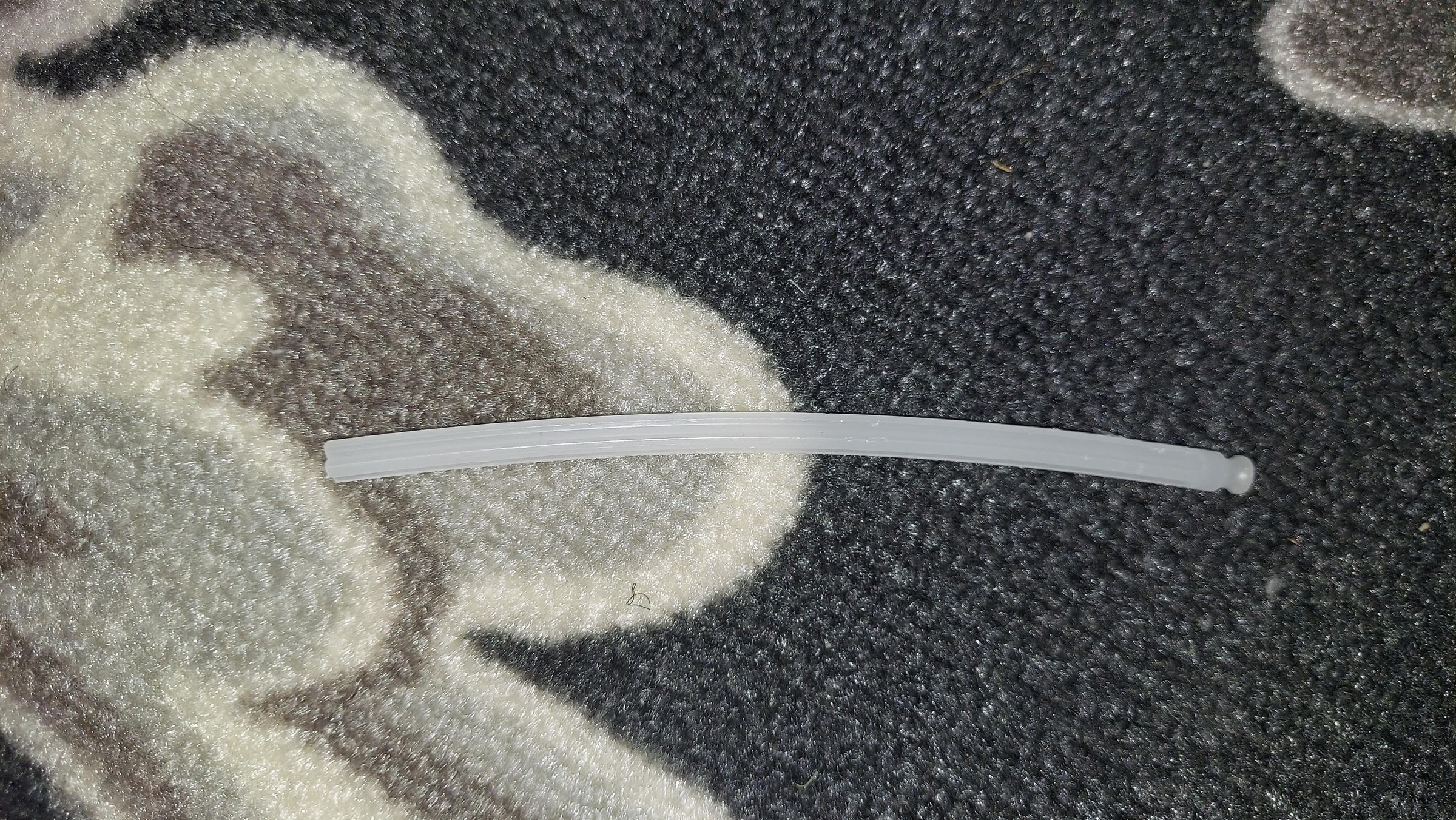 20210803_114259.jpg