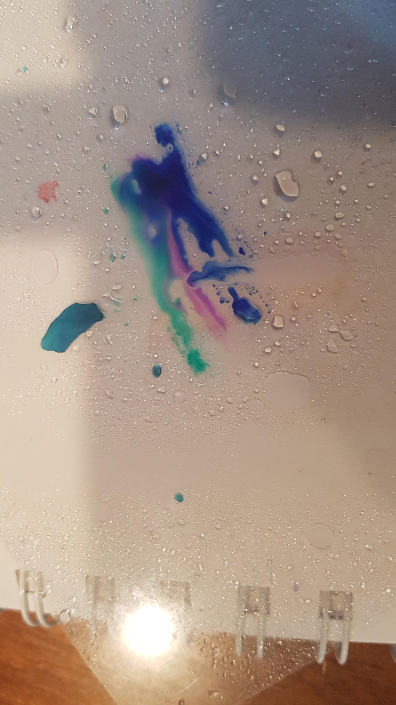 20220425_164249.jpg