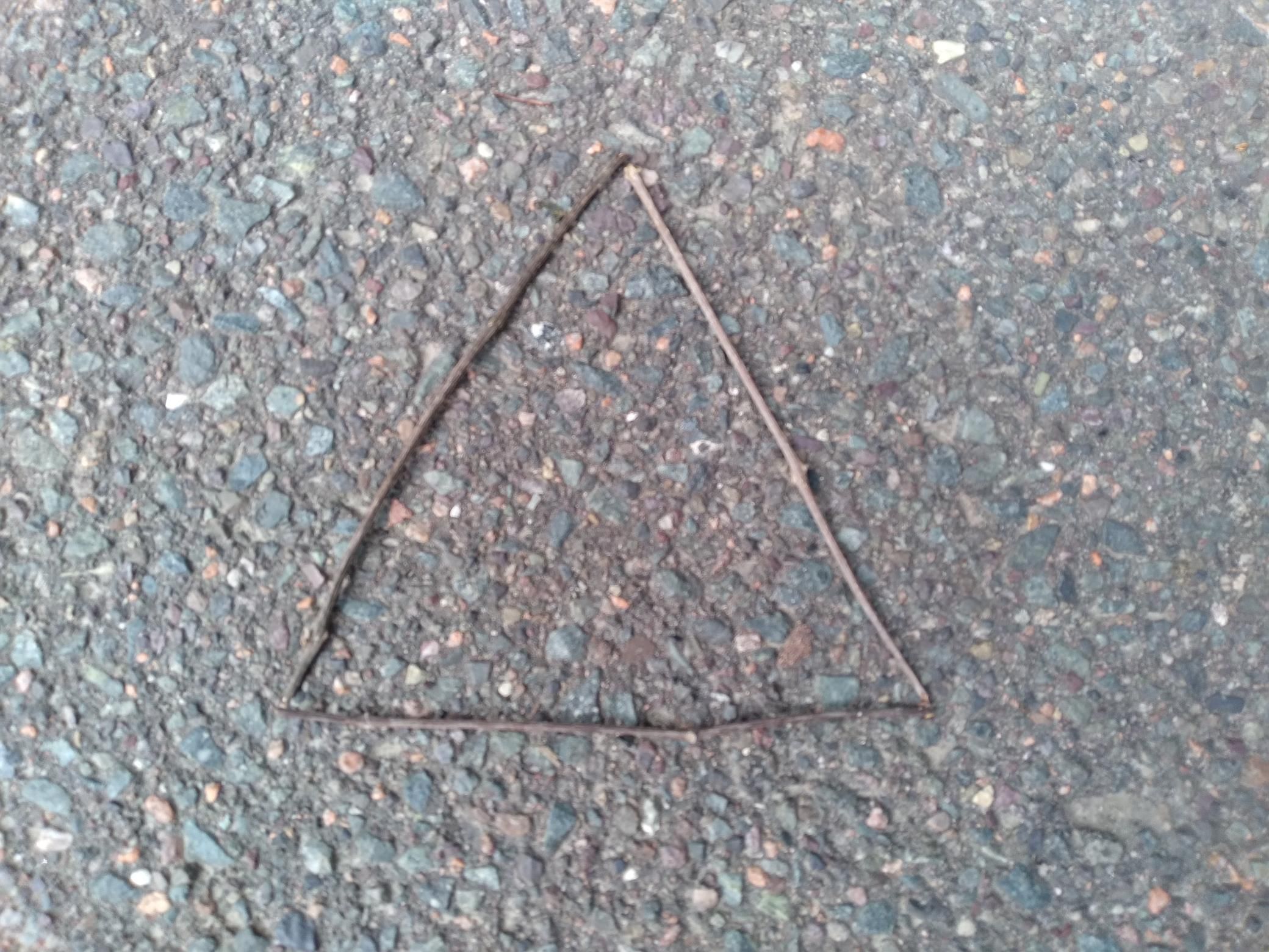 20220604_100717.jpg