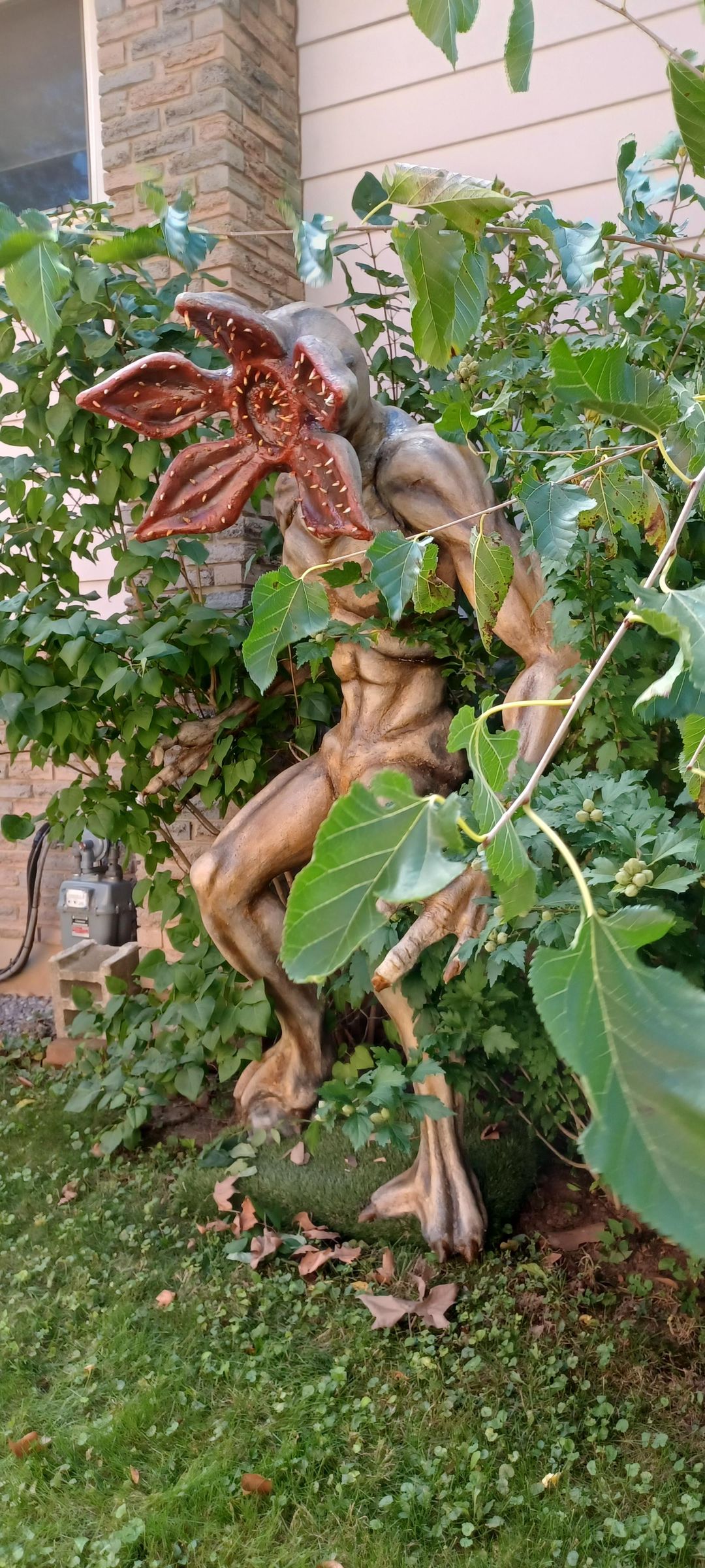 20221002_111712.jpg
