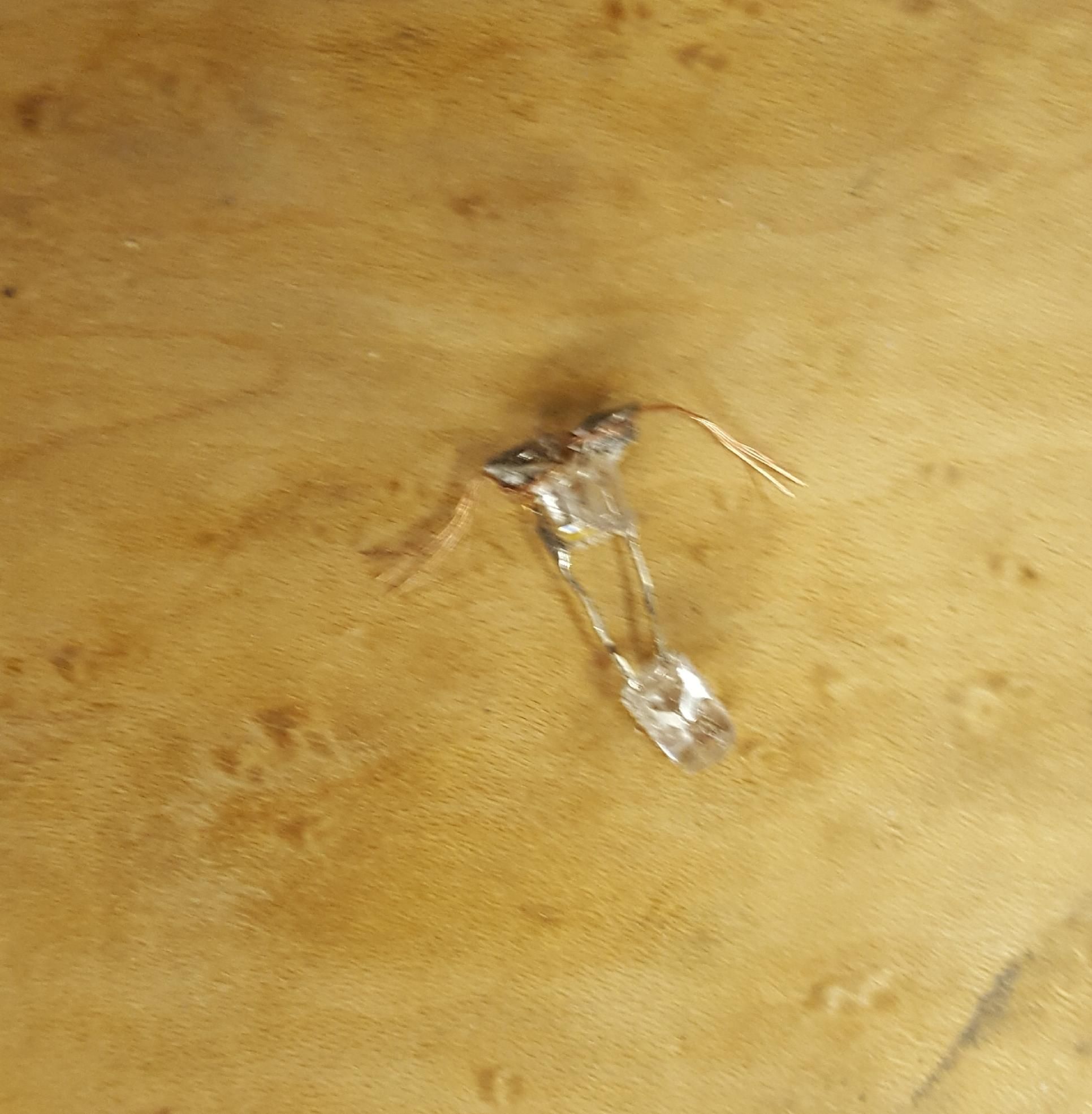 20230611_232613.jpg
