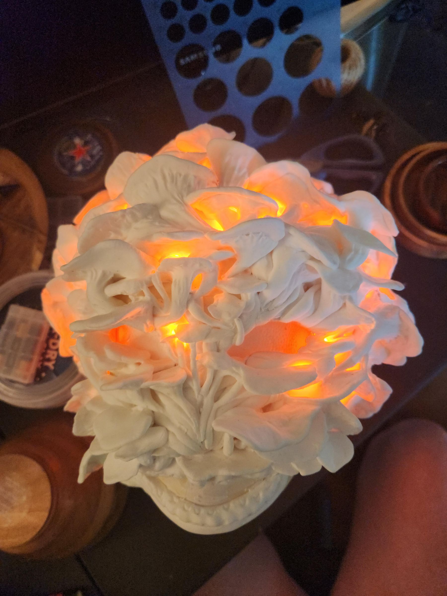 20230710_184534.jpg