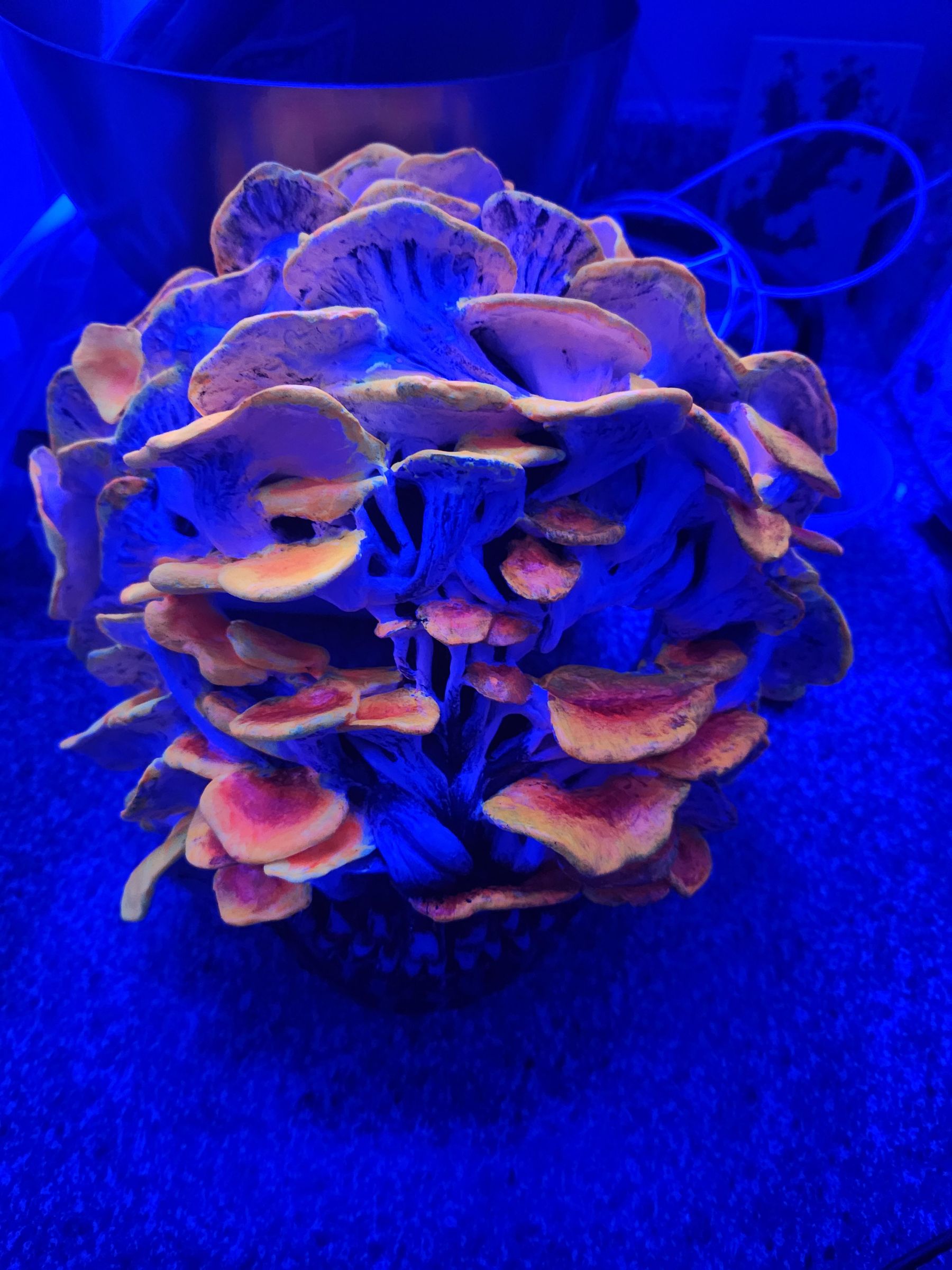 20230805_225425.jpg