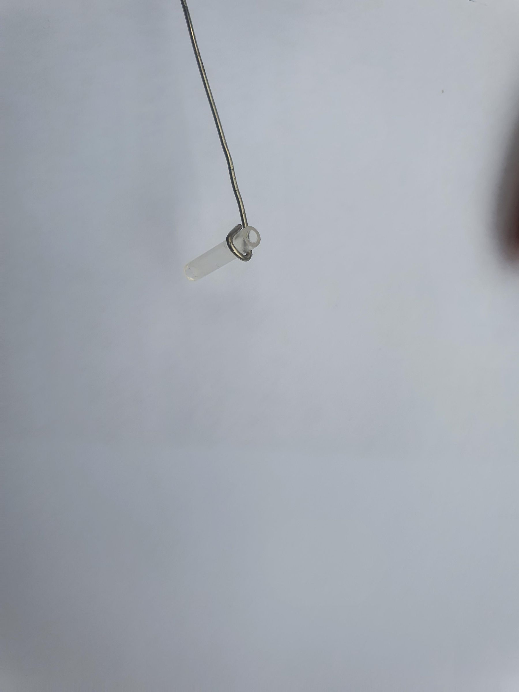 20230924_160858.jpg