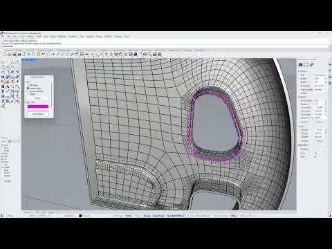 2024 project
