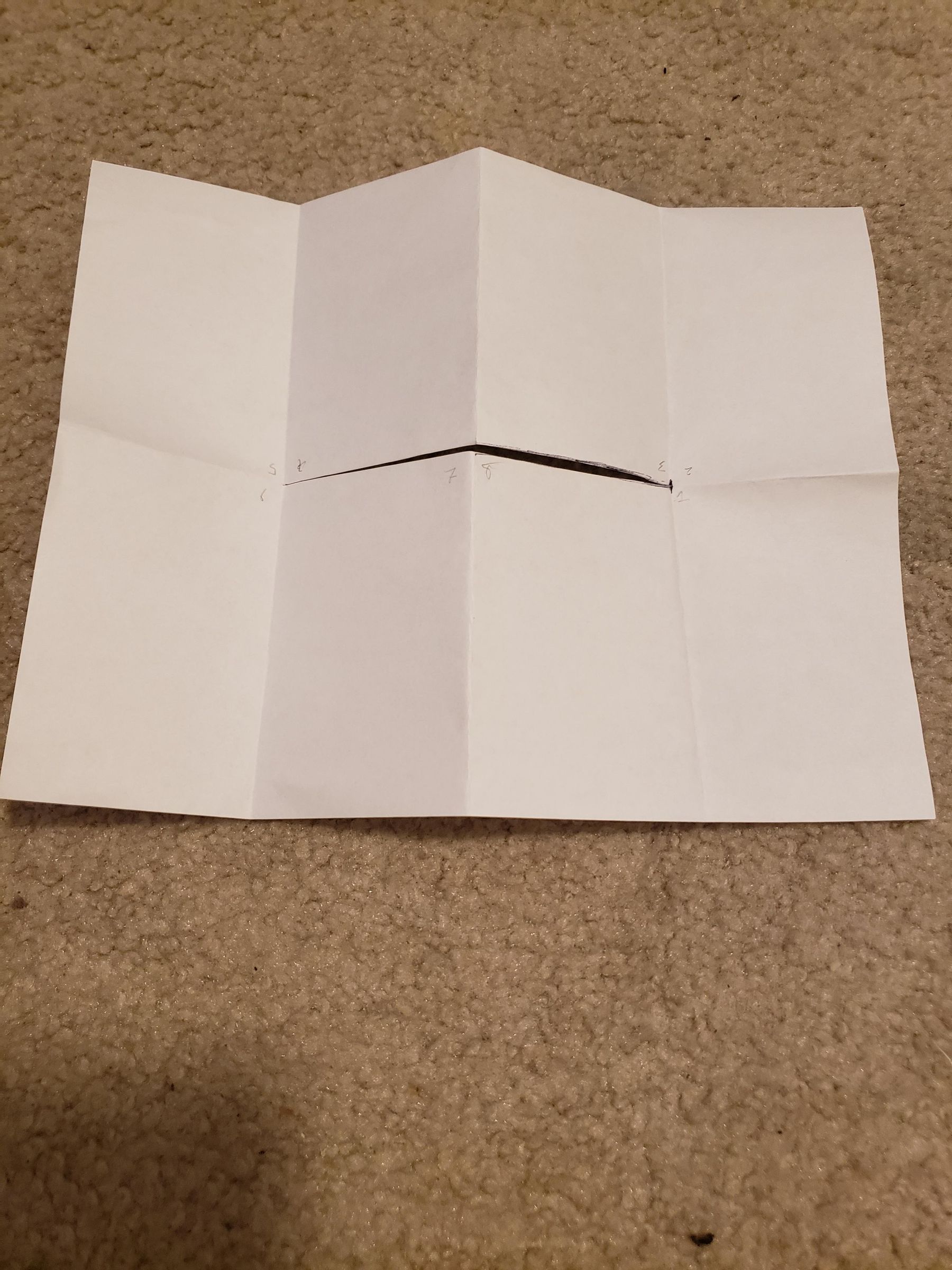 20240926_144136.jpg