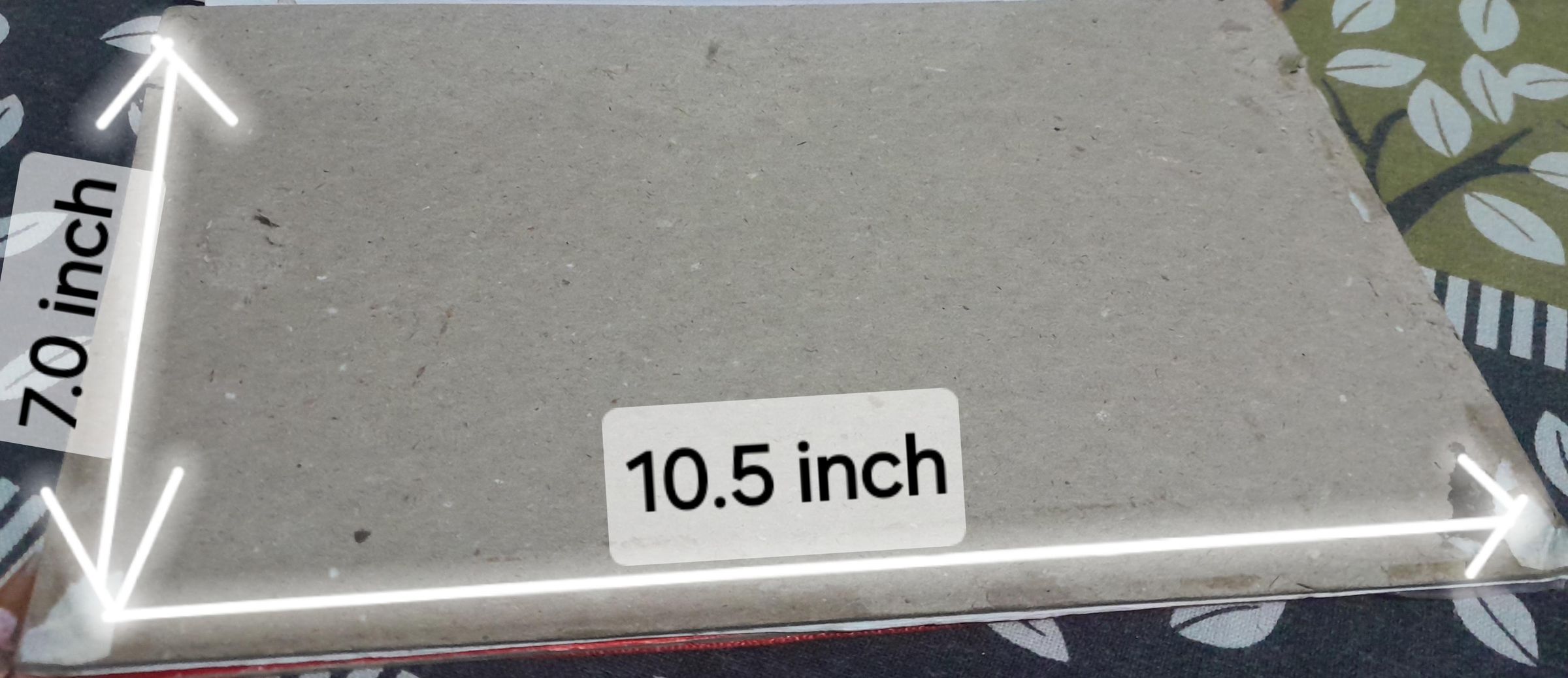 20241117_084836.jpg