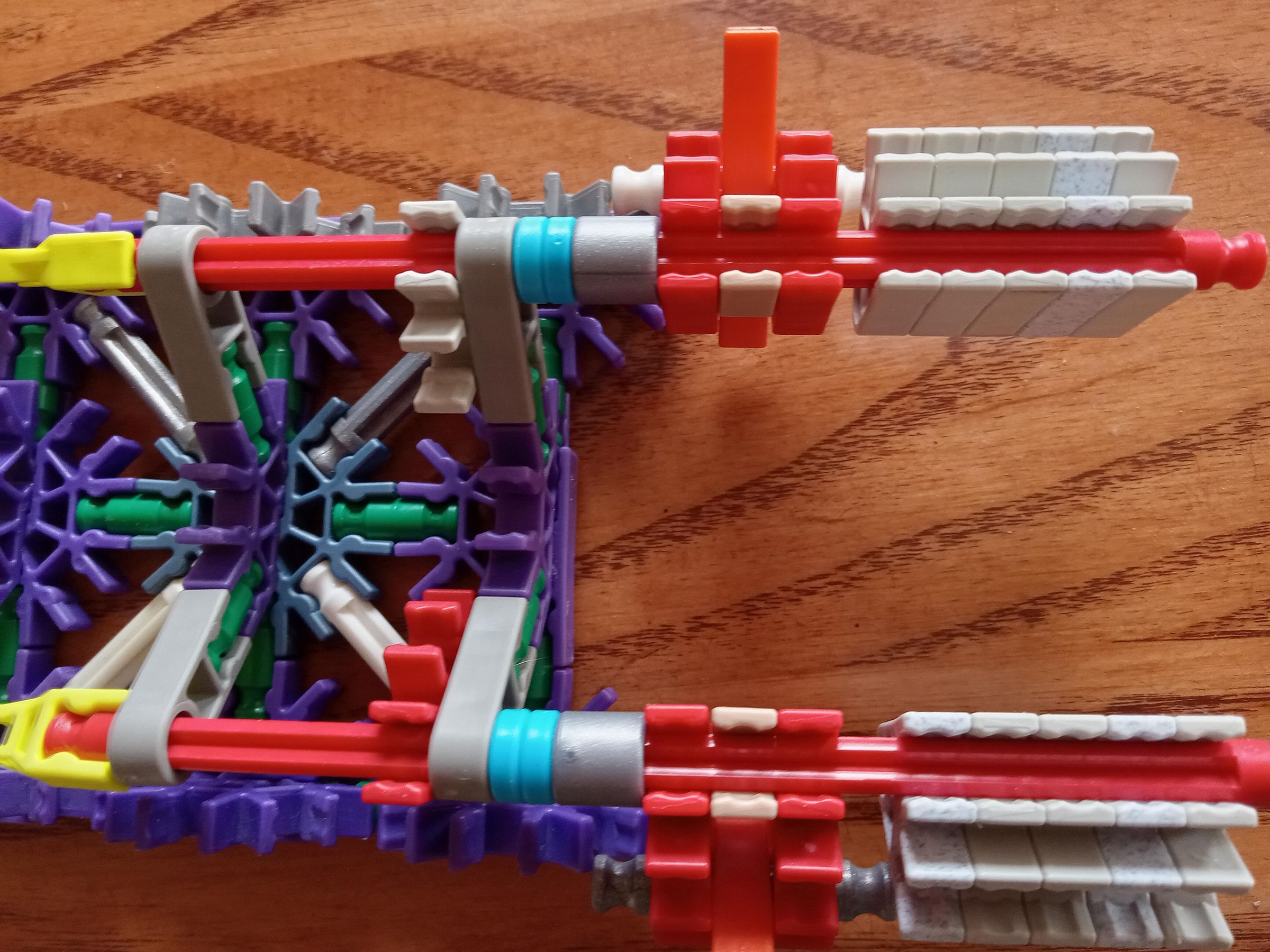 20250508_155559.jpg