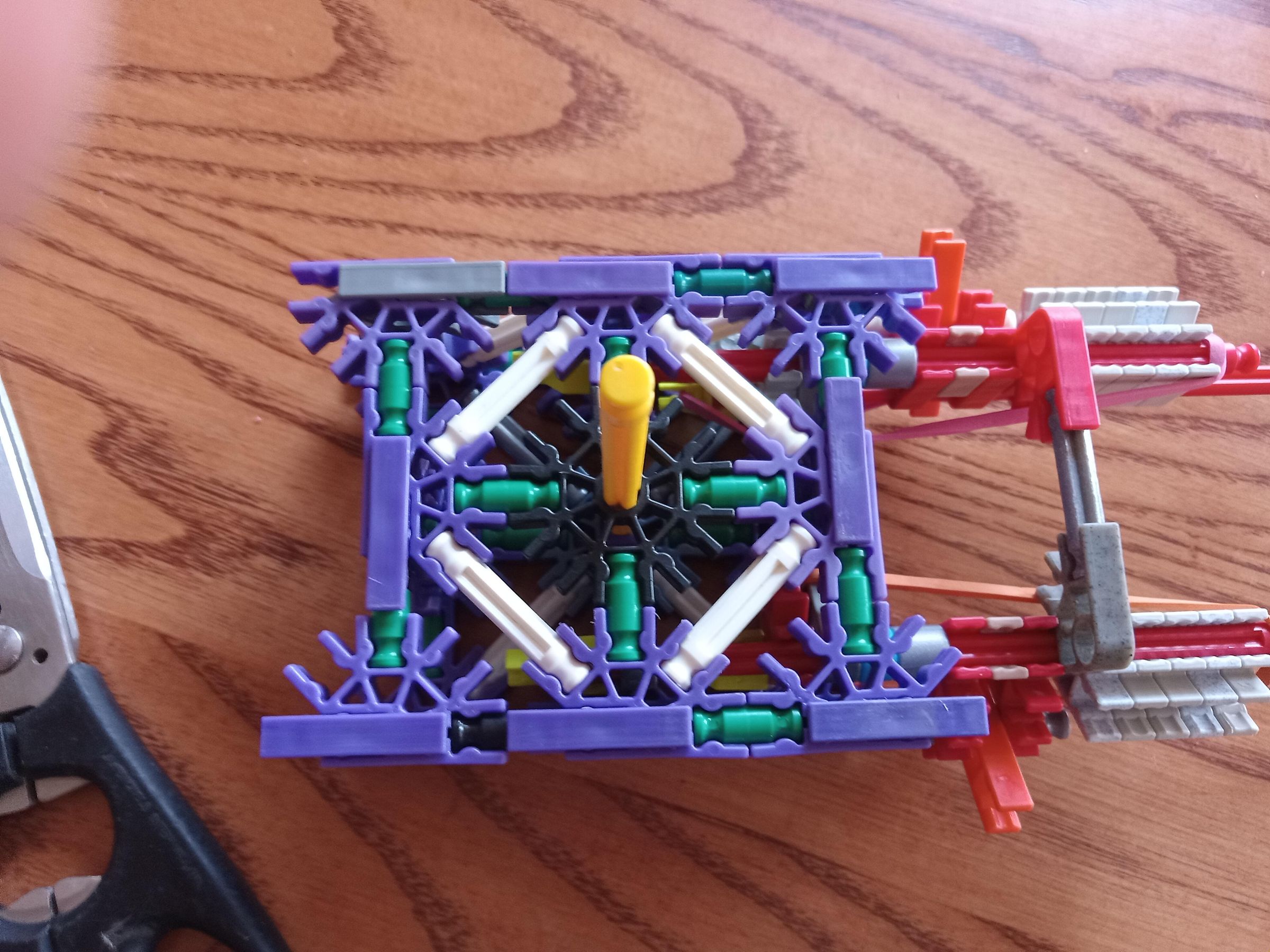 20250508_161136.jpg
