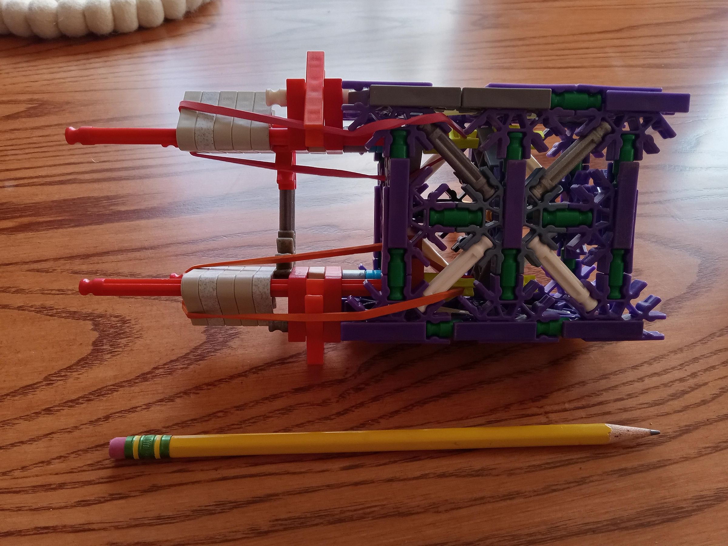 20250508_161216.jpg