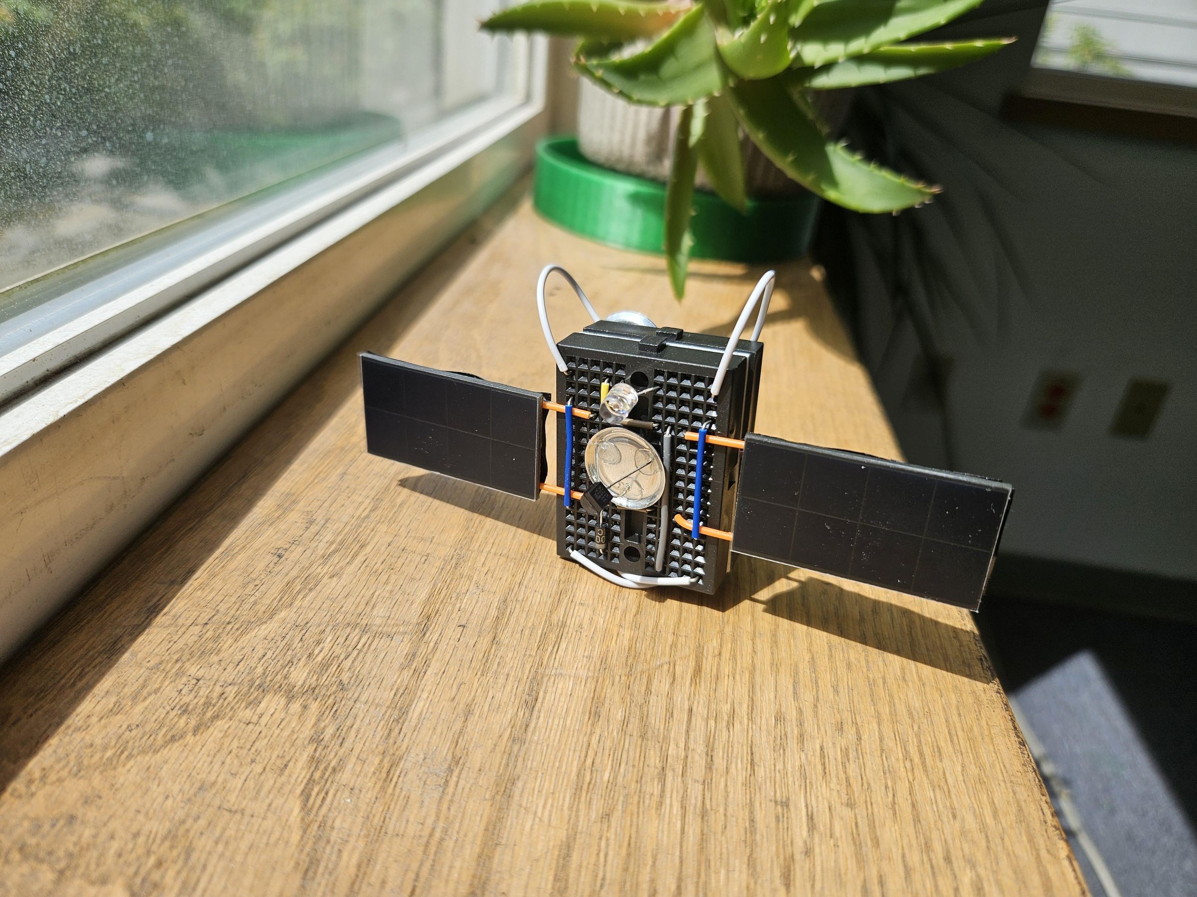 20250525_145645.jpg