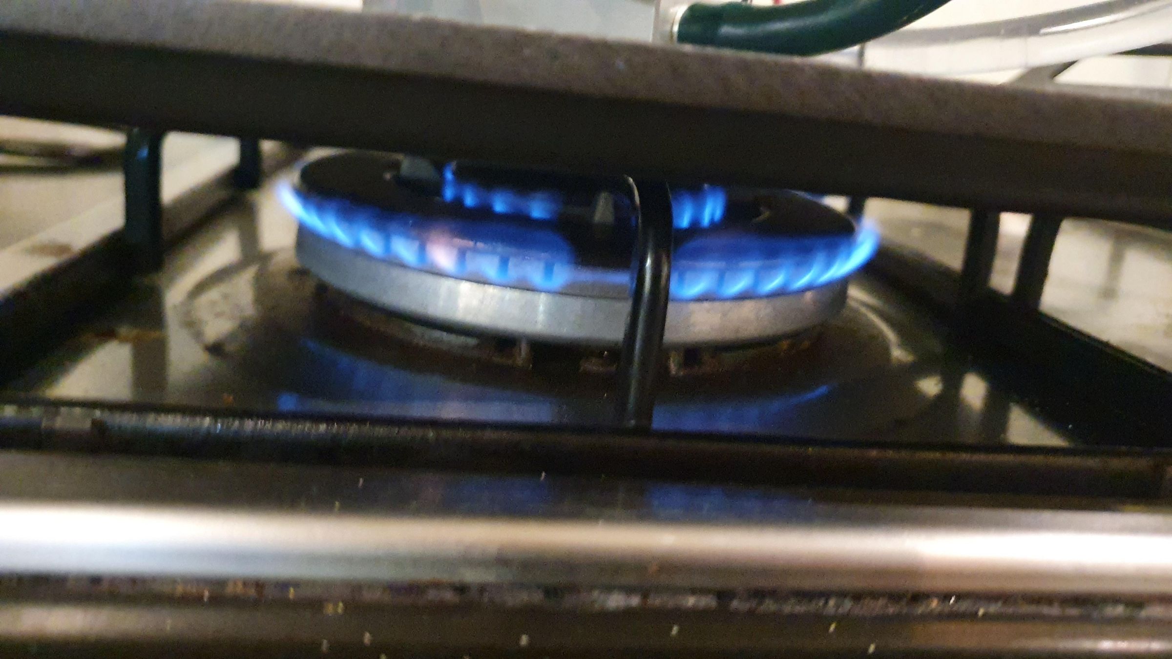 20250601_142036.jpg