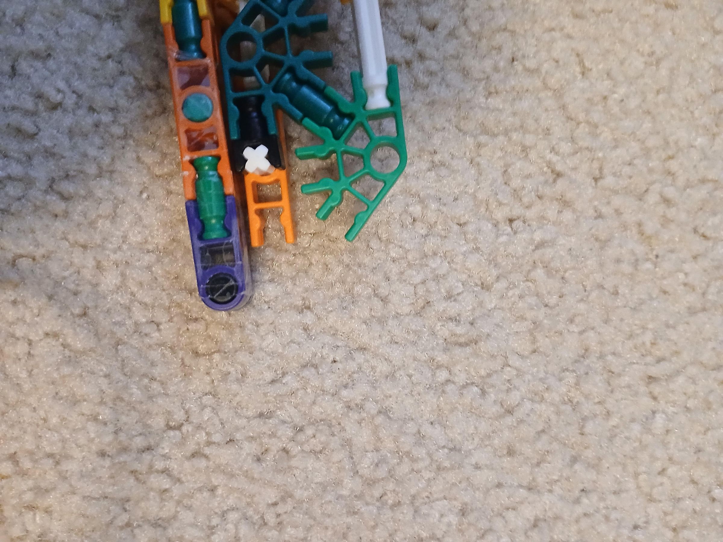 20250619_085243.jpg