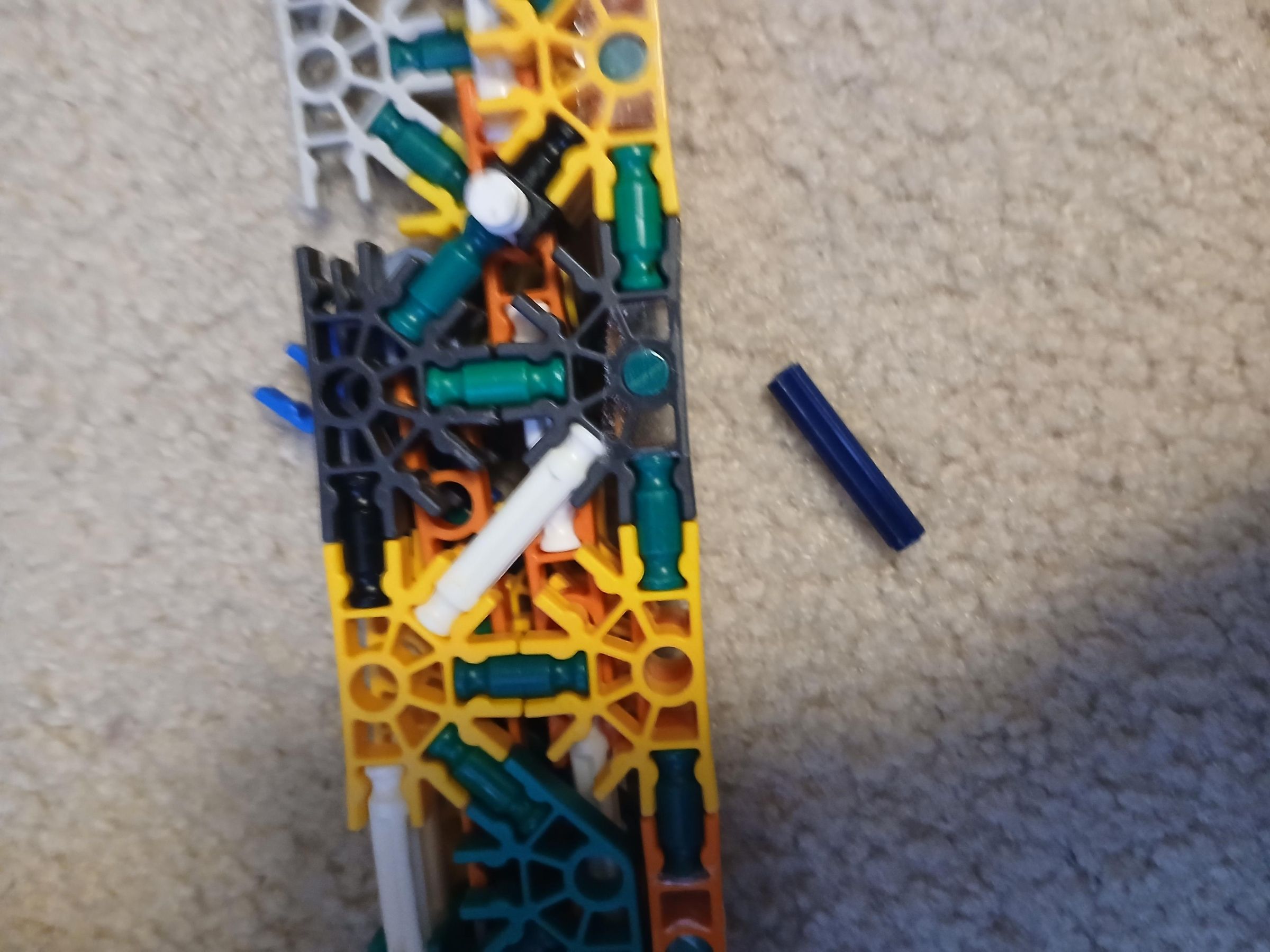 20250619_085638.jpg