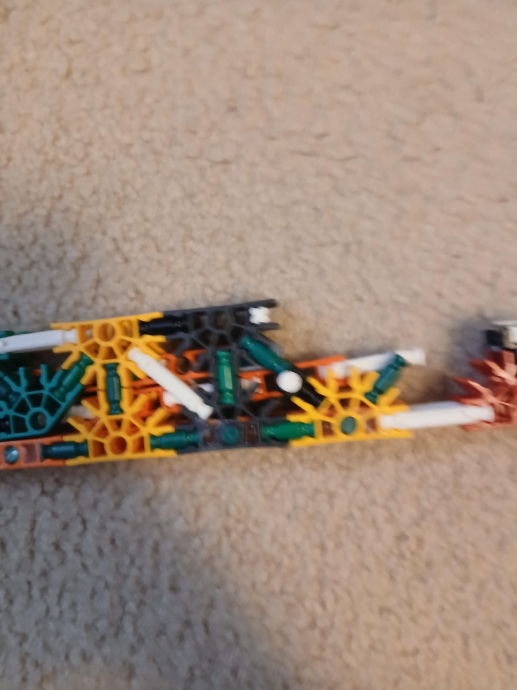 20250619_094532.jpg